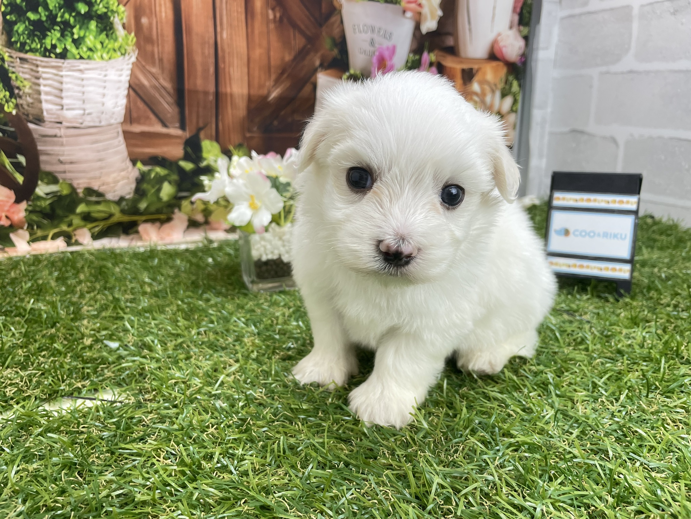 赤ちゃん写真2-2