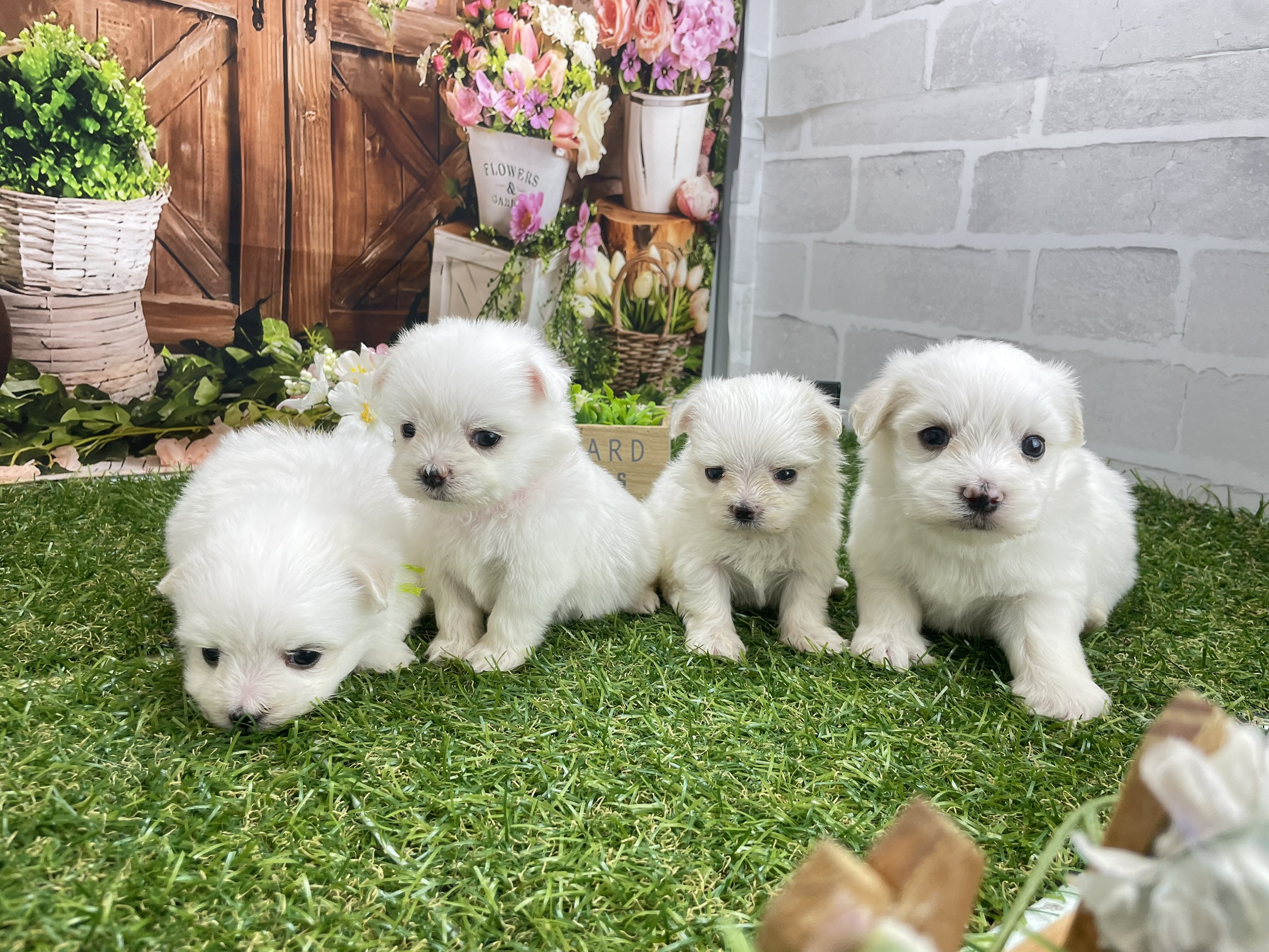 赤ちゃん写真2-3