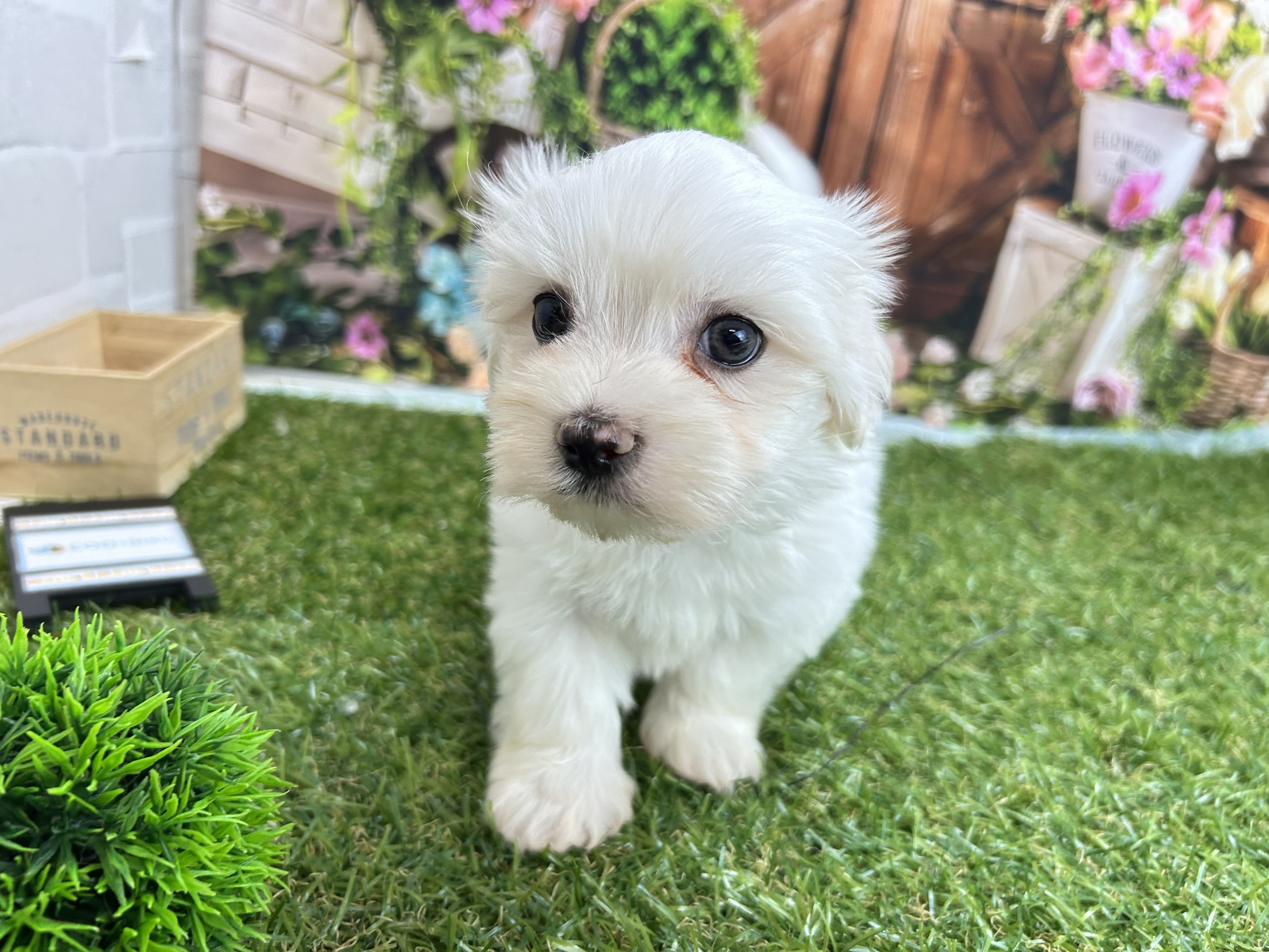 赤ちゃん写真3-1