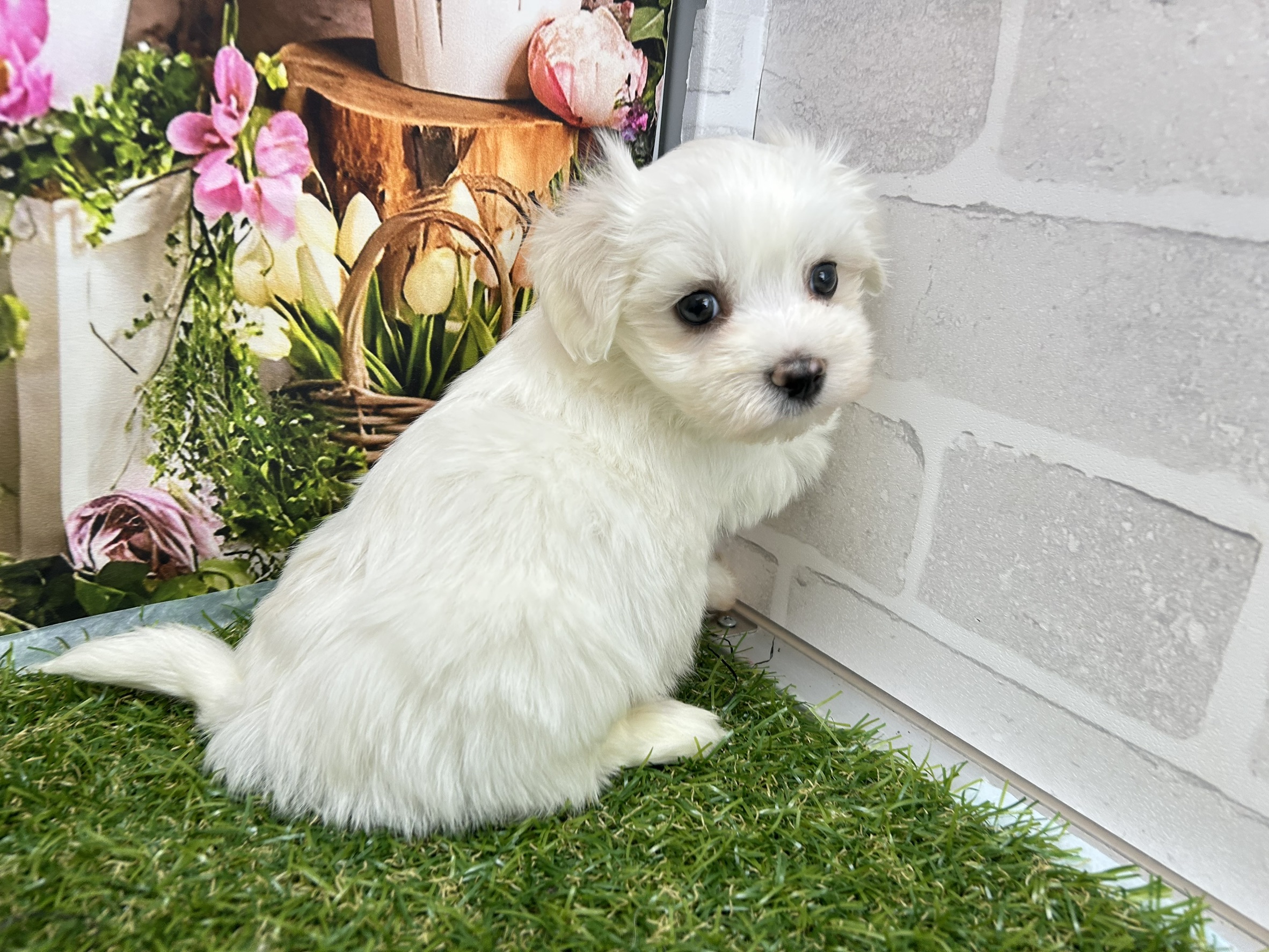 赤ちゃん写真3-2