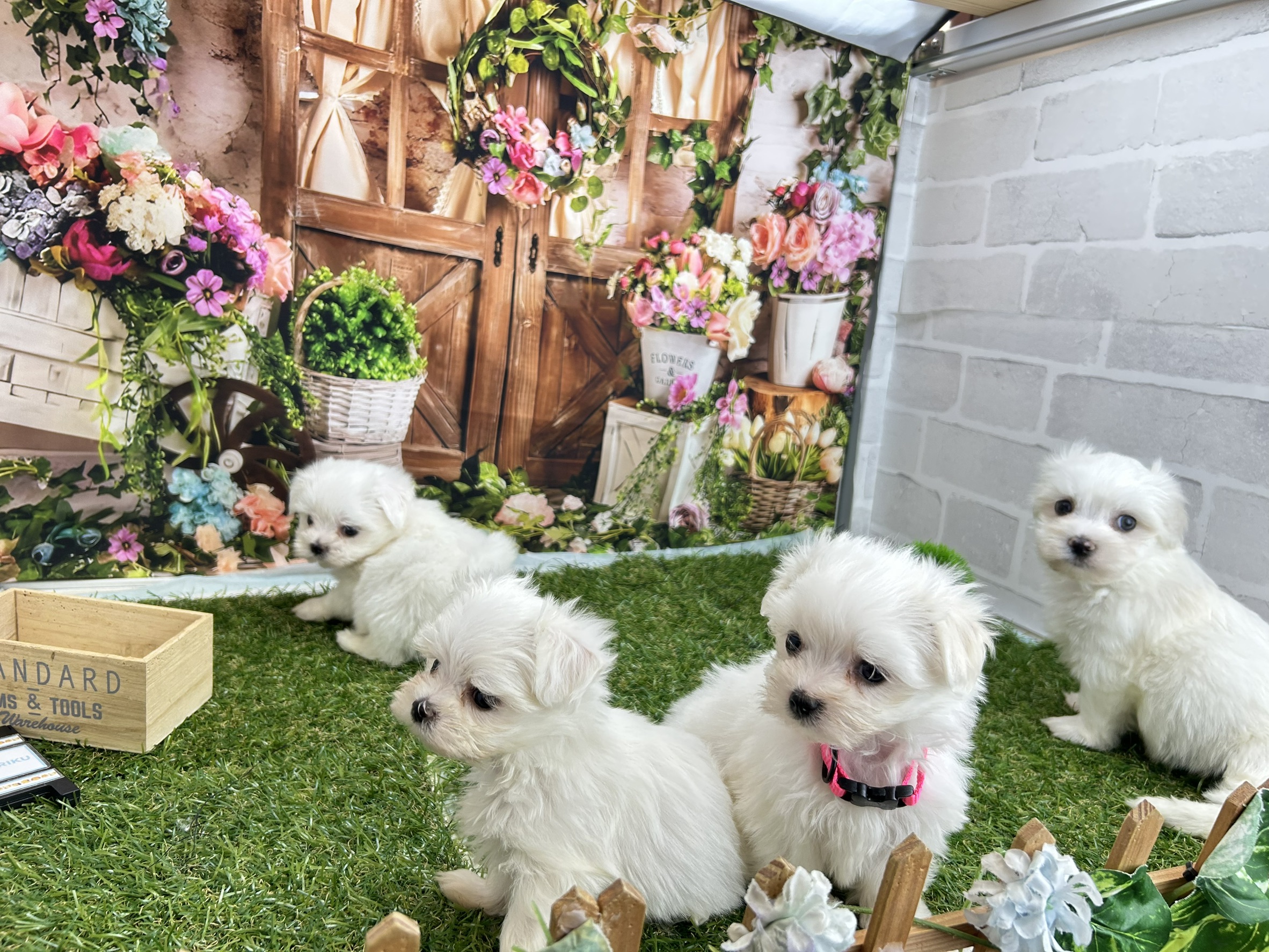 赤ちゃん写真3-3