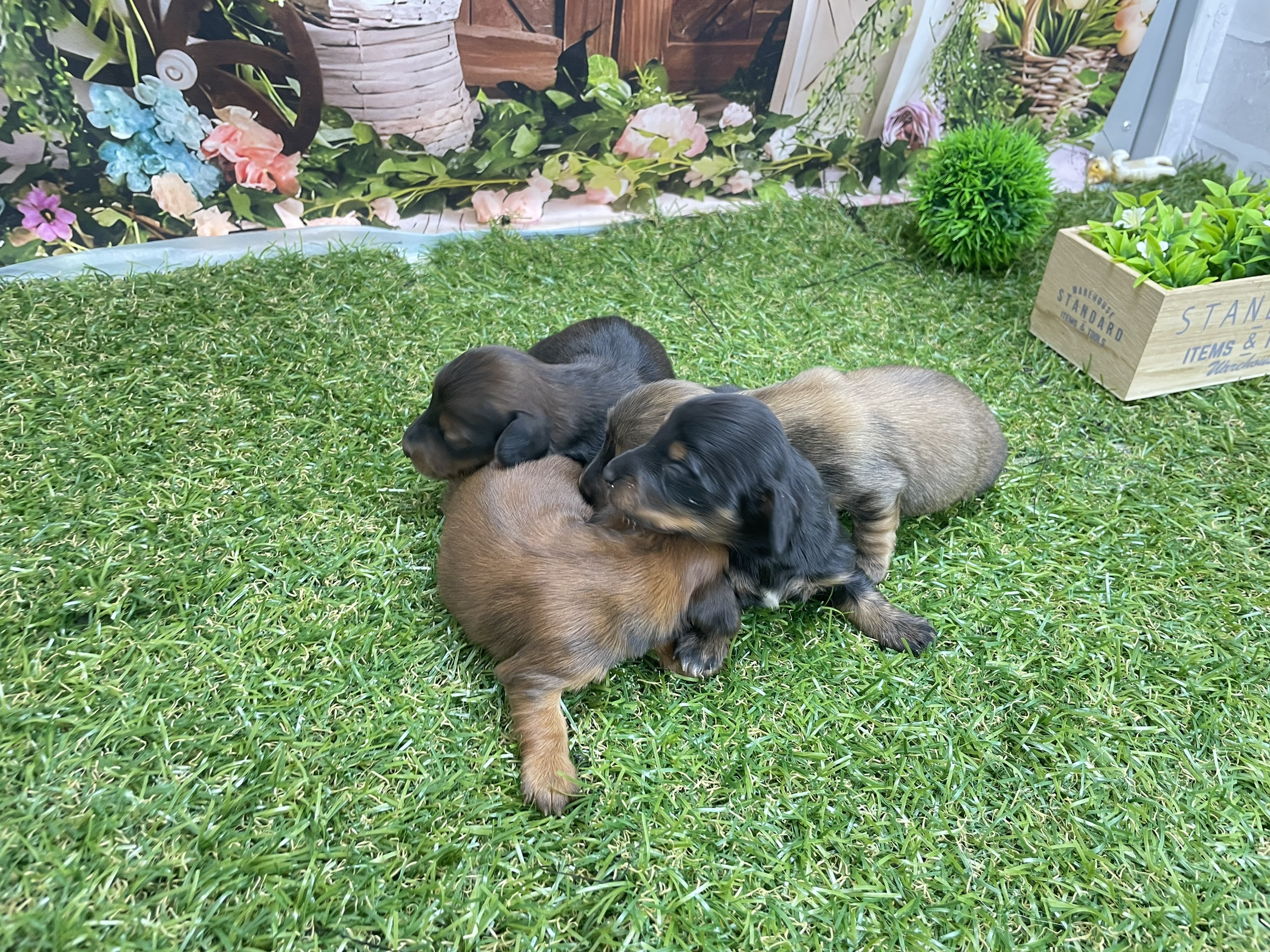 赤ちゃん写真1-3