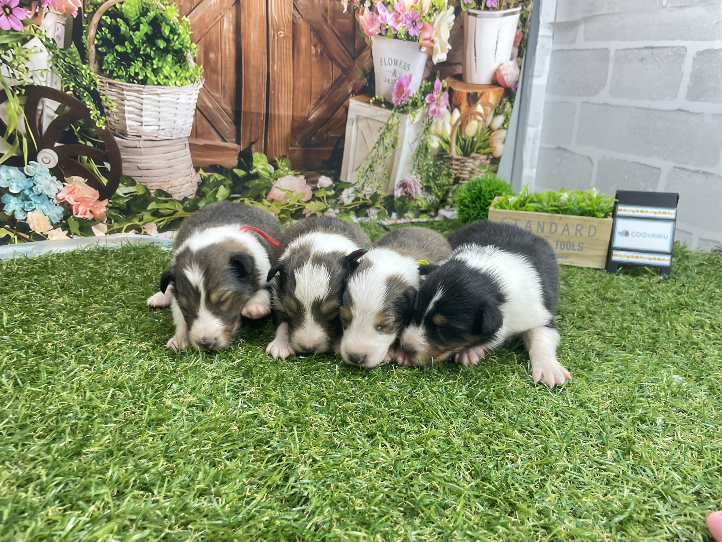 赤ちゃん写真1-3
