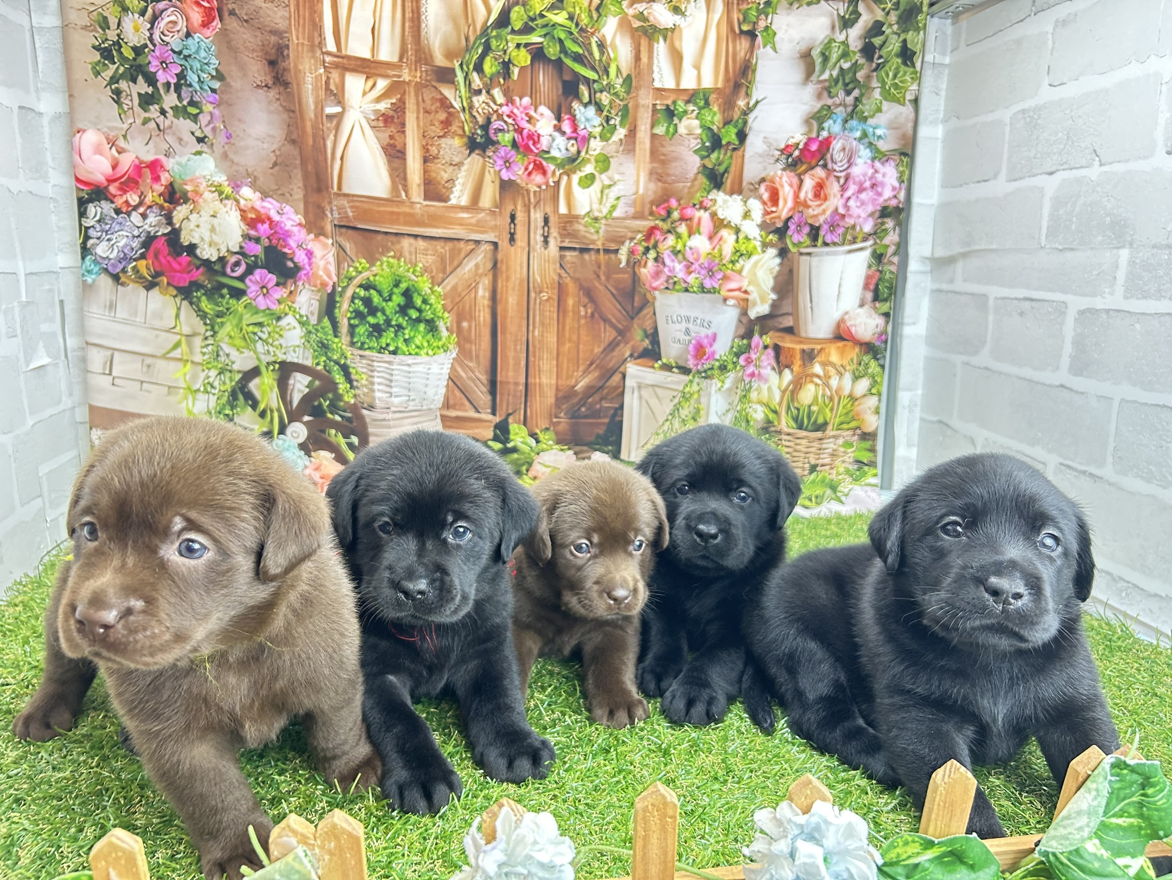 赤ちゃん写真2-3