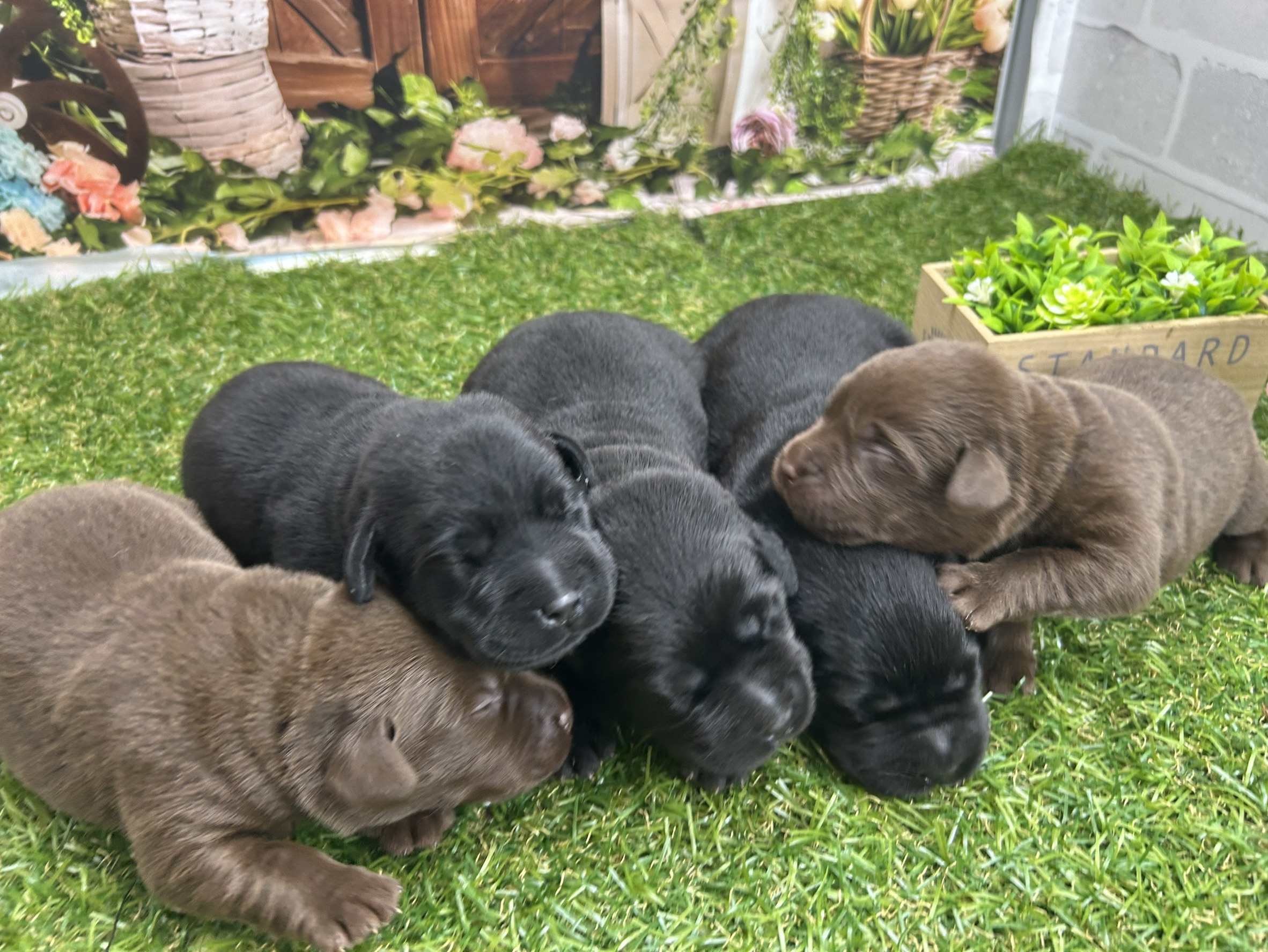 赤ちゃん写真1-3