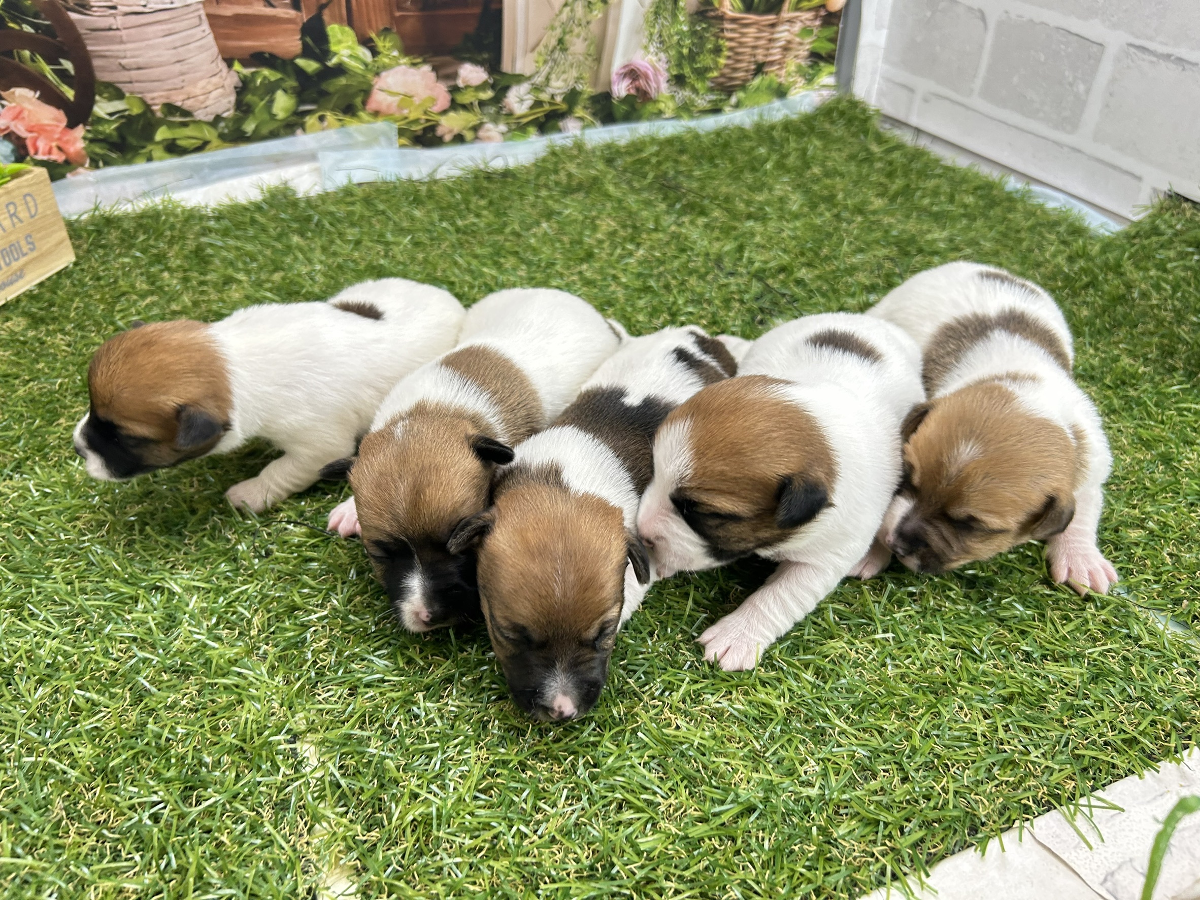 赤ちゃん写真1-3