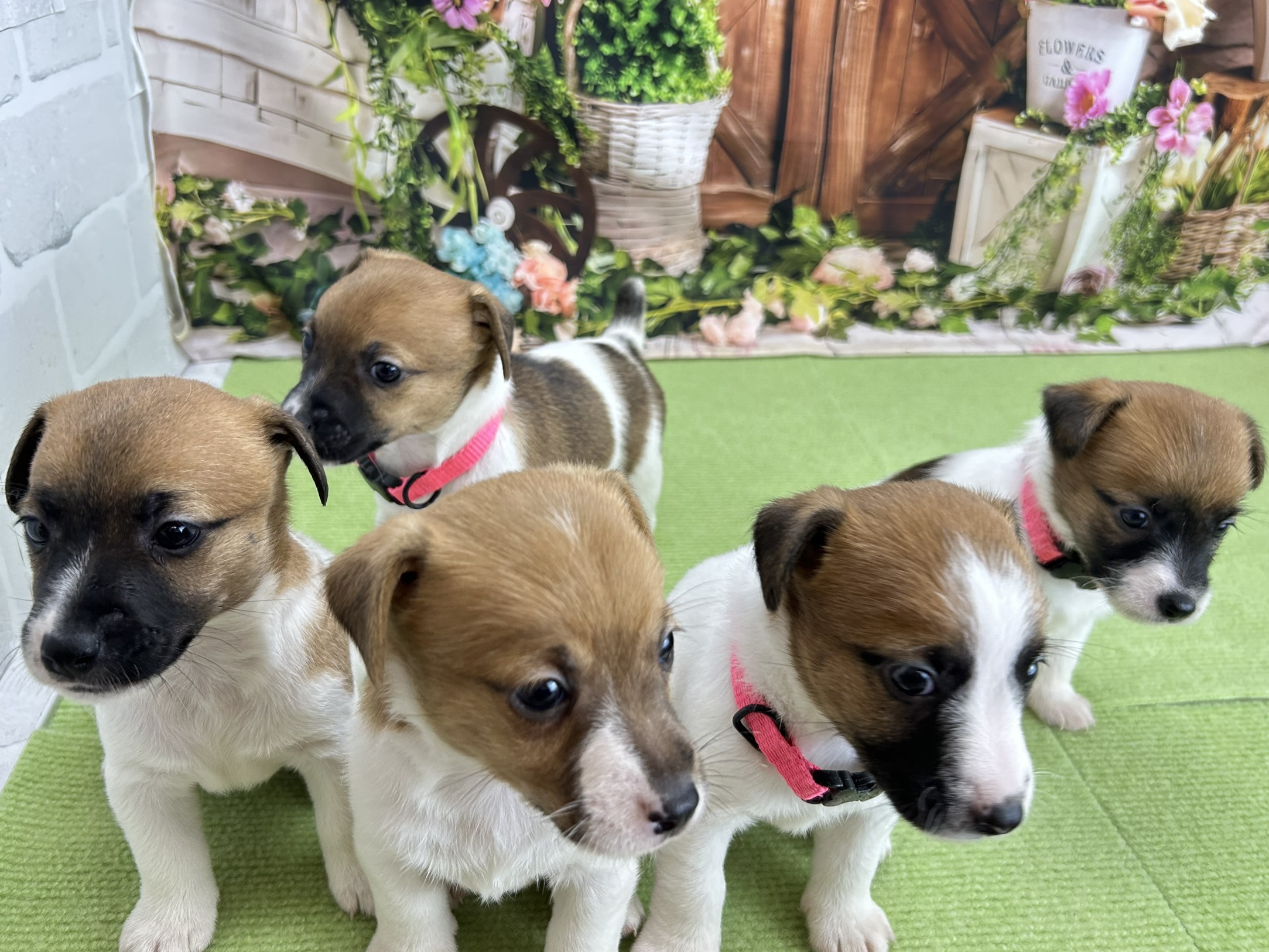 赤ちゃん写真2-3