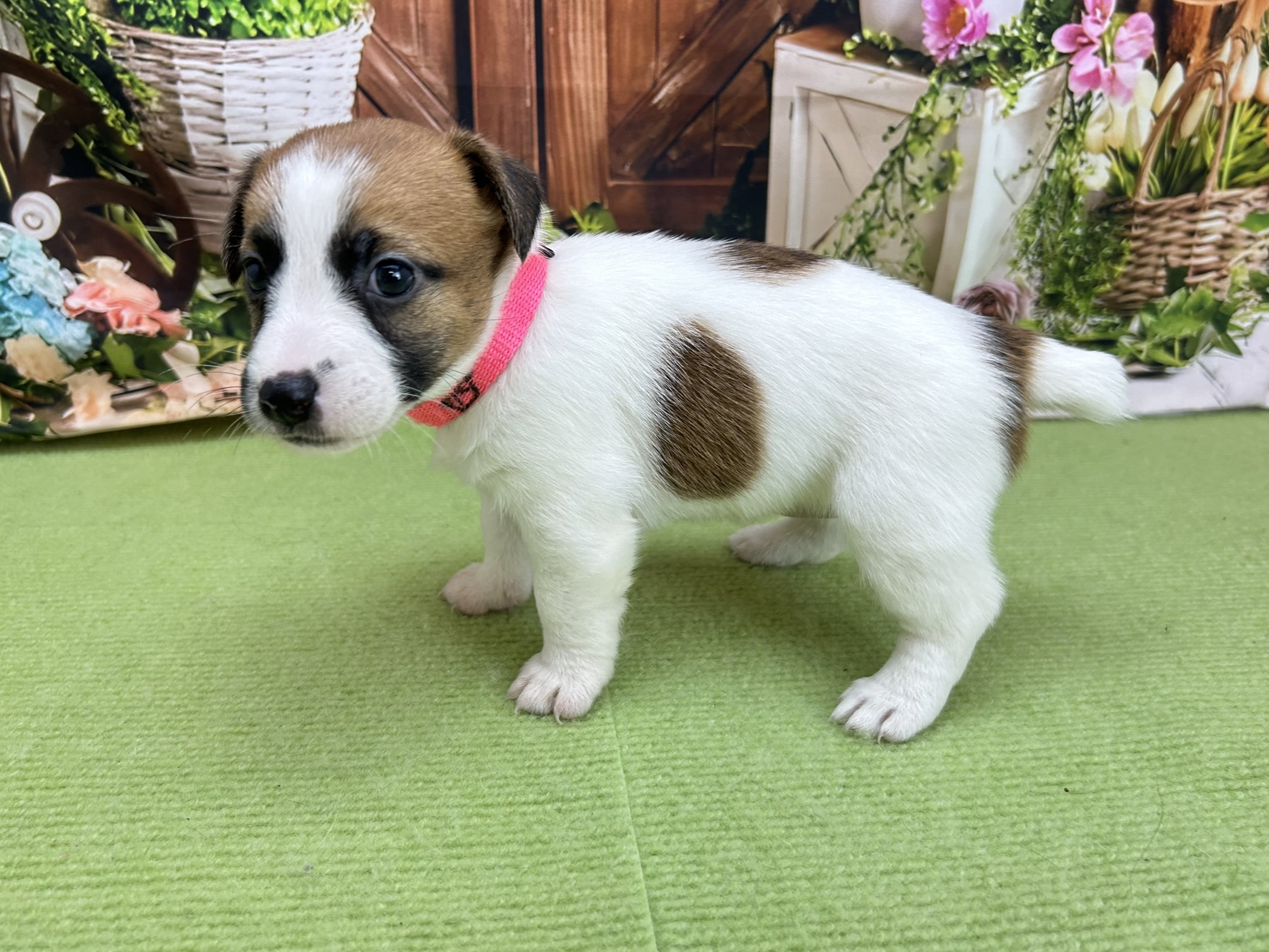 赤ちゃん写真2-2
