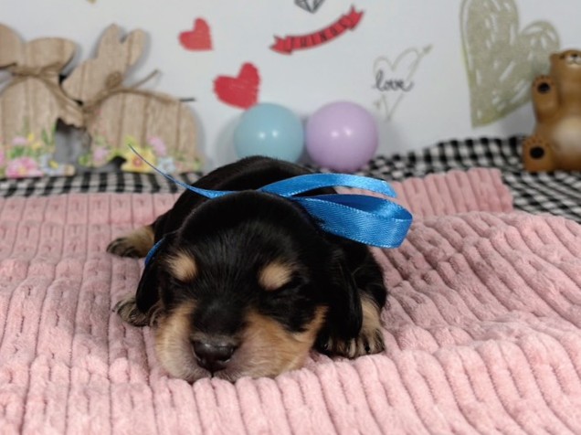 赤ちゃん写真1-1