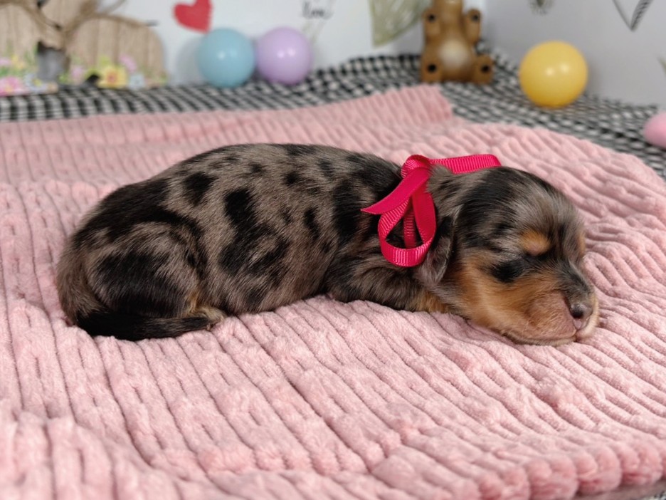 赤ちゃん写真1-2