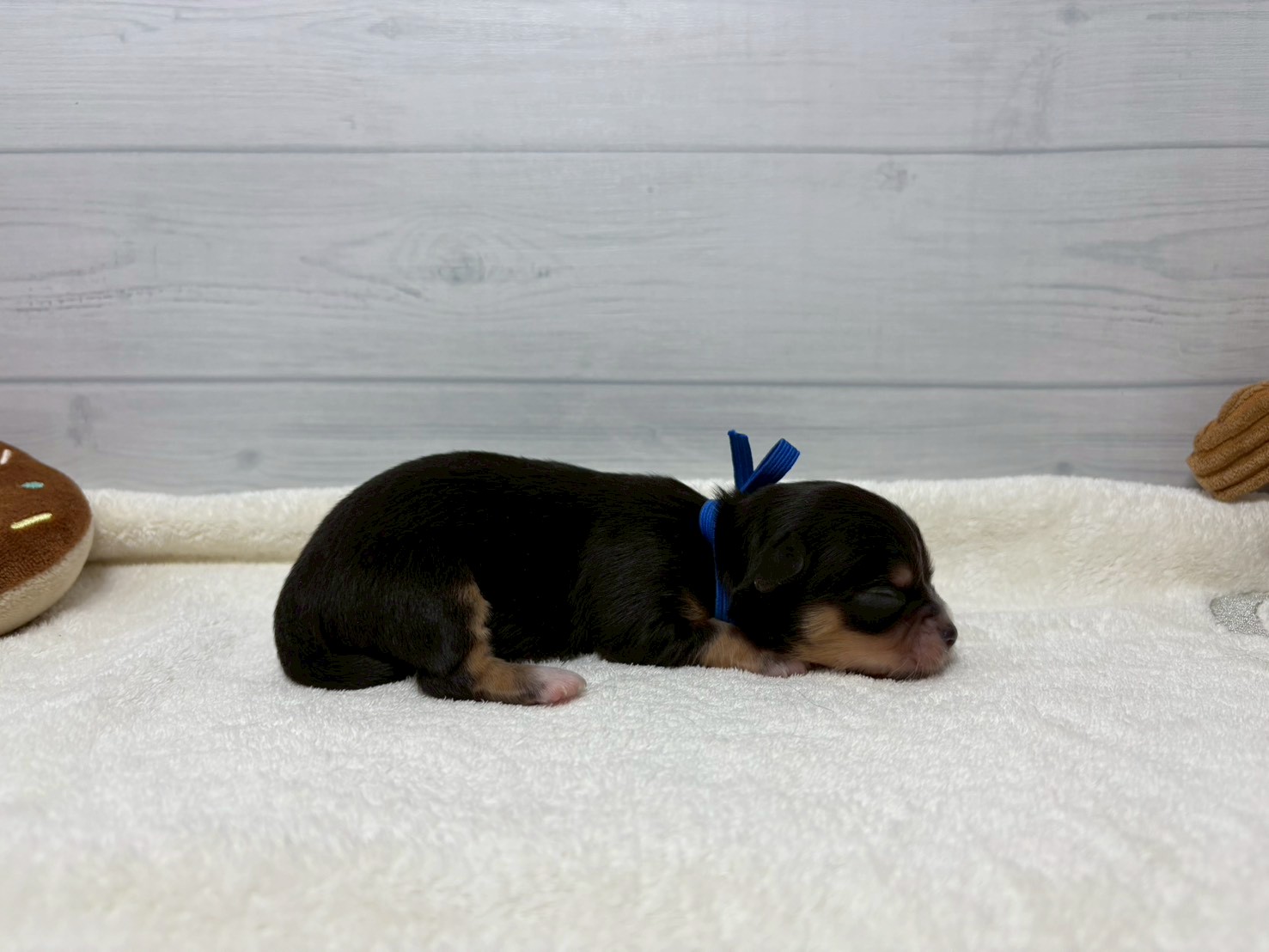 赤ちゃん写真1-2