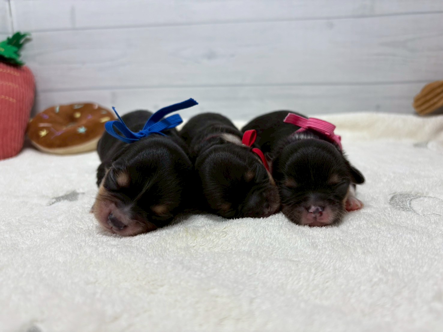 赤ちゃん写真1-3