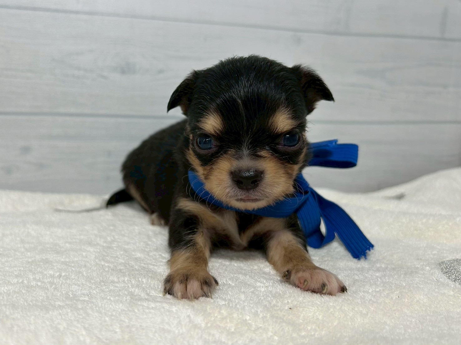 赤ちゃん写真2-1