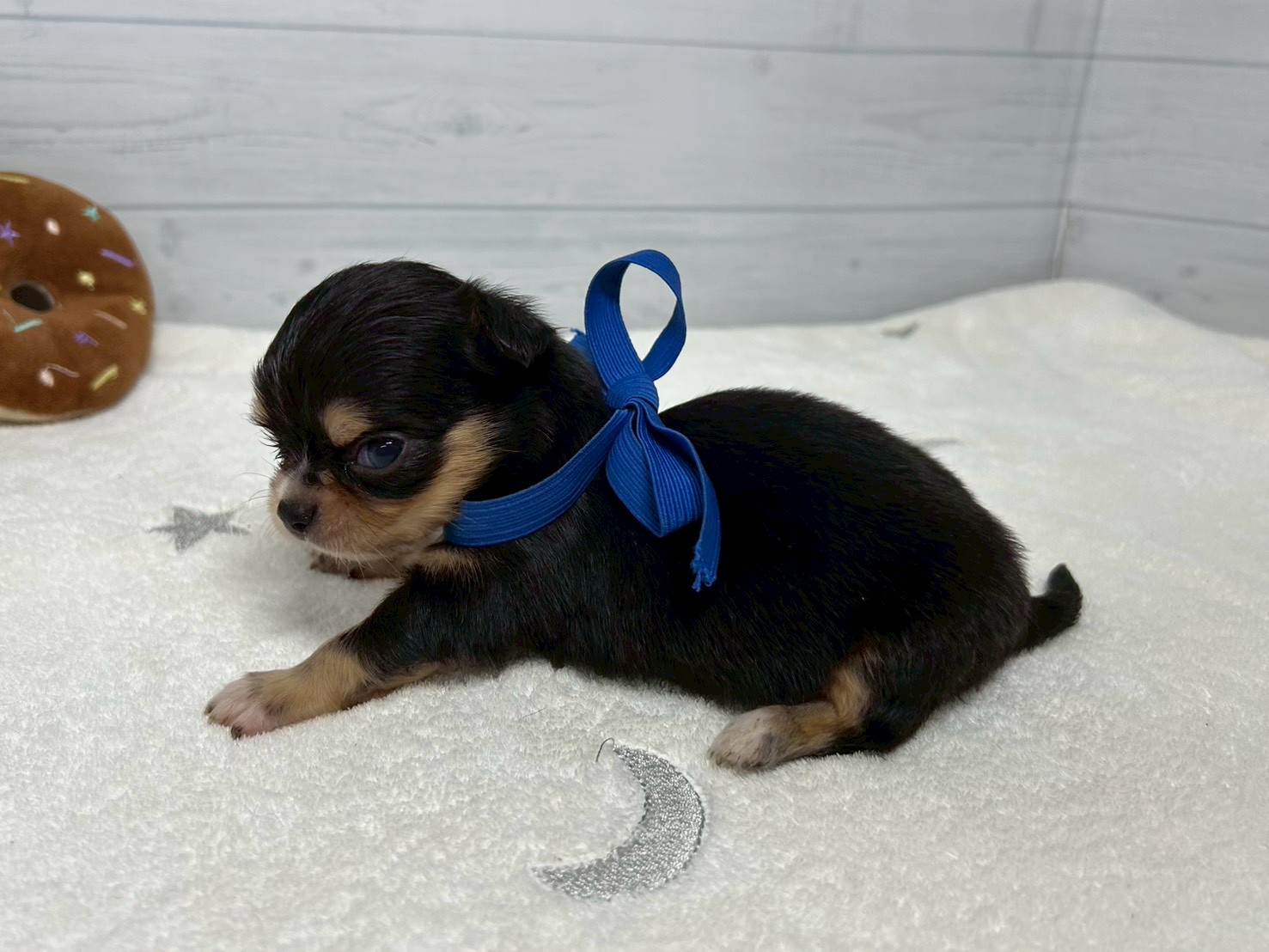 赤ちゃん写真2-2