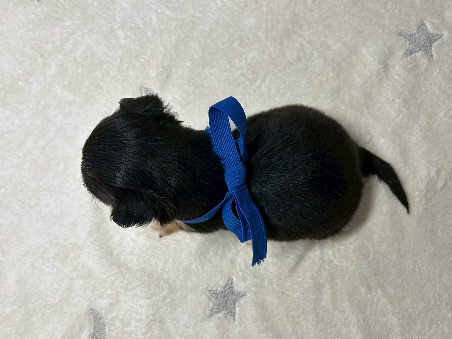 赤ちゃん写真2-3