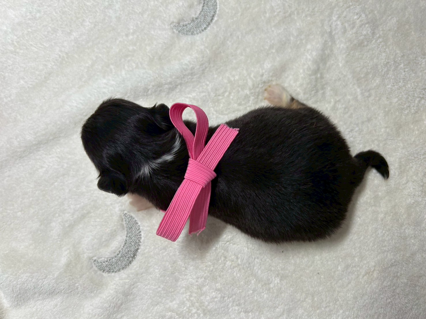 赤ちゃん写真2-3