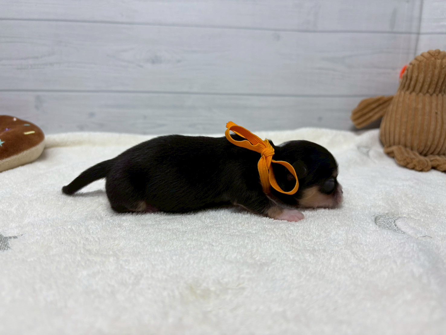 赤ちゃん写真1-2