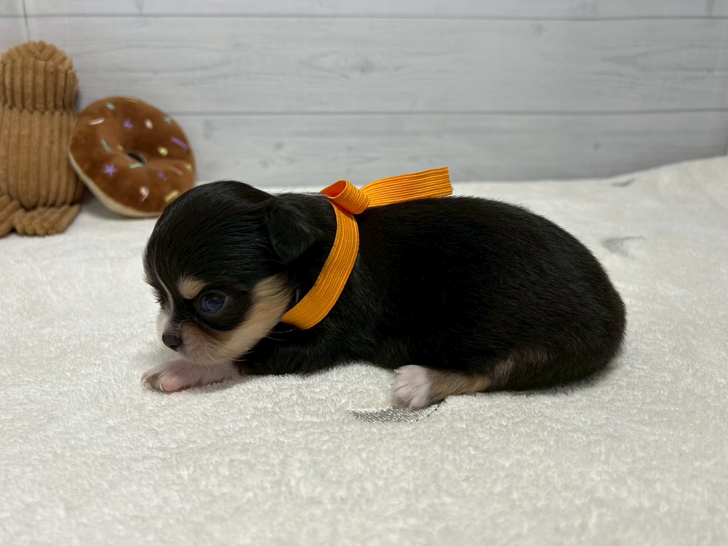 赤ちゃん写真2-2