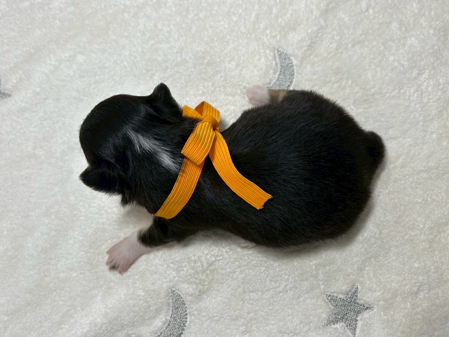 赤ちゃん写真2-3