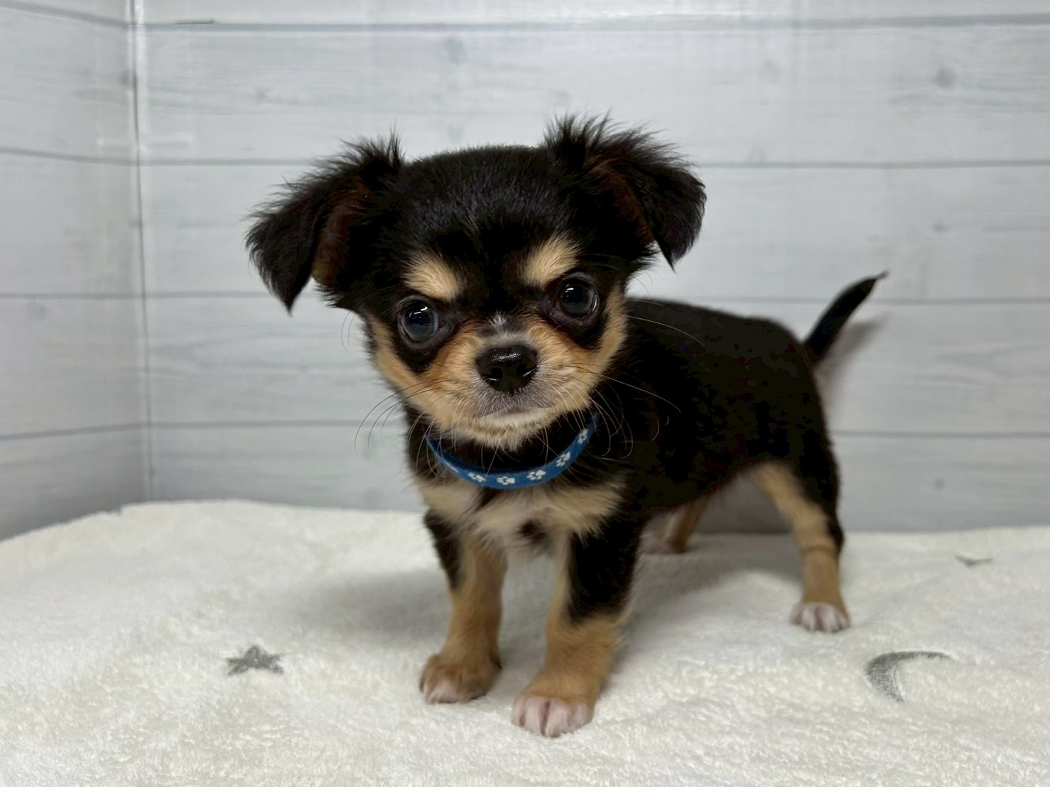 赤ちゃん写真3-1