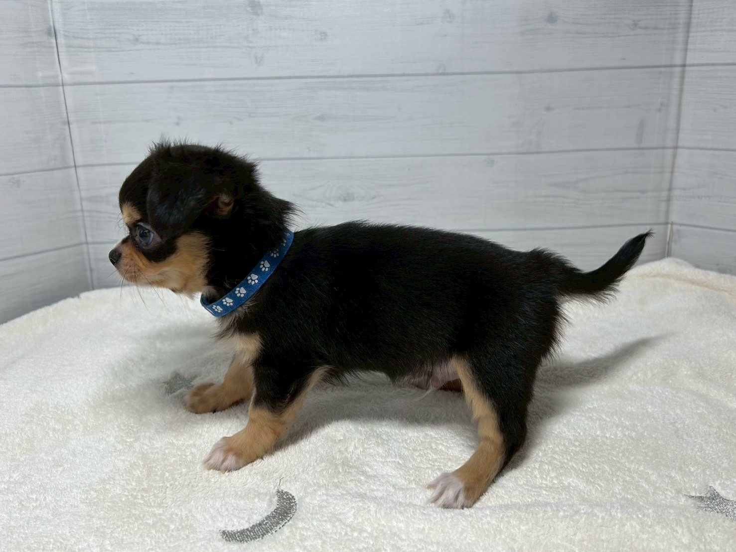 赤ちゃん写真3-2