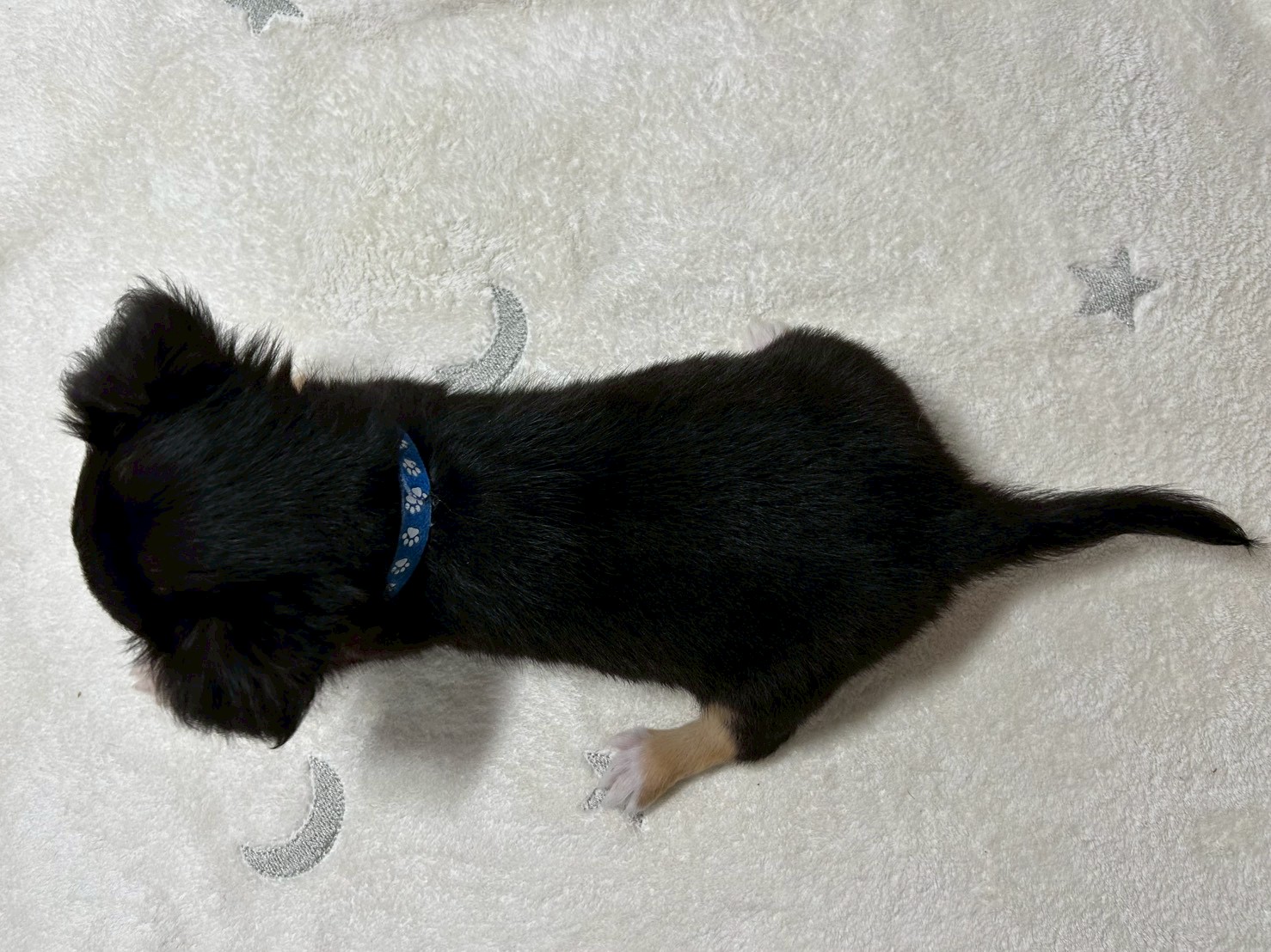 赤ちゃん写真3-3