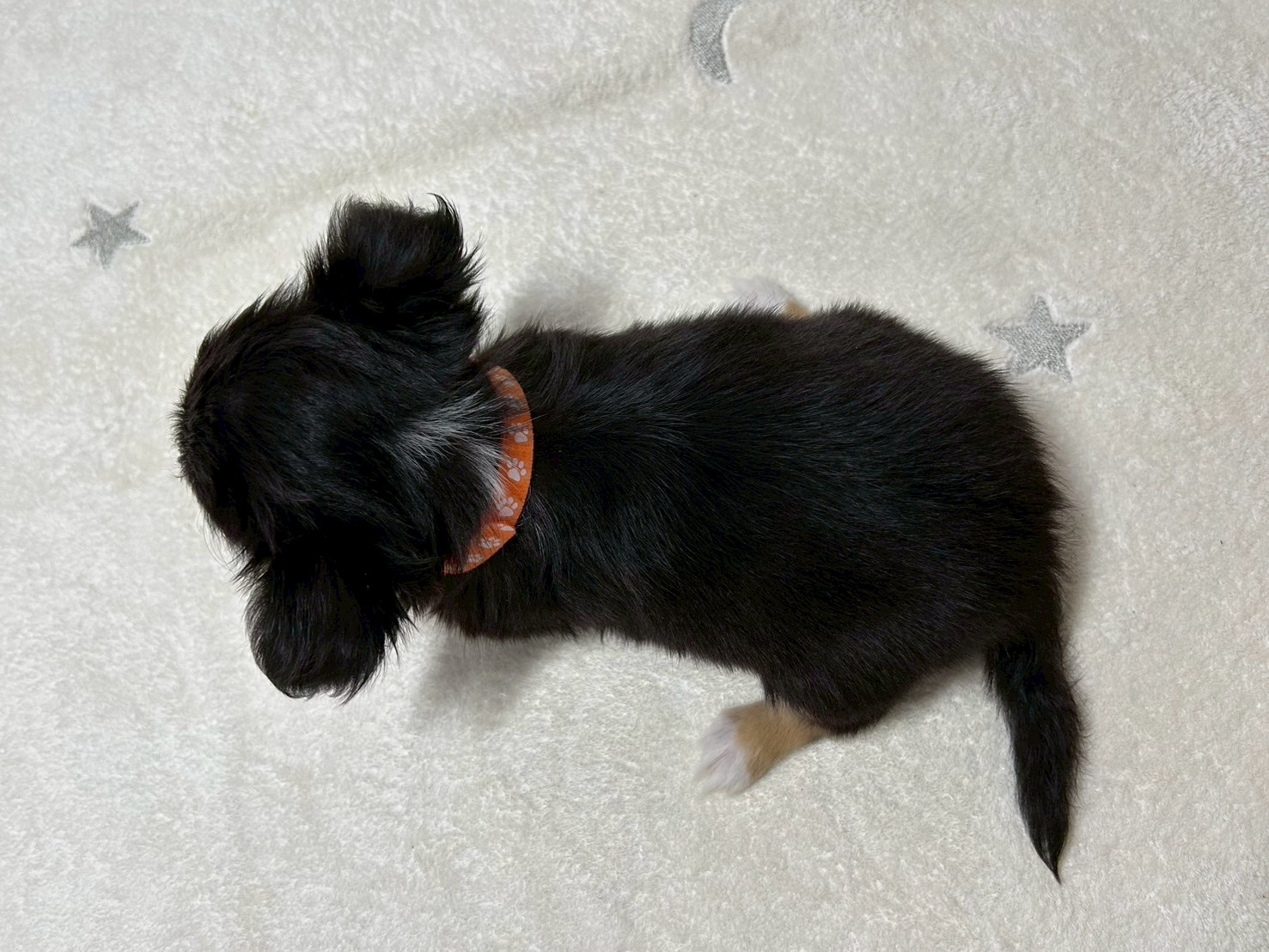 赤ちゃん写真3-3