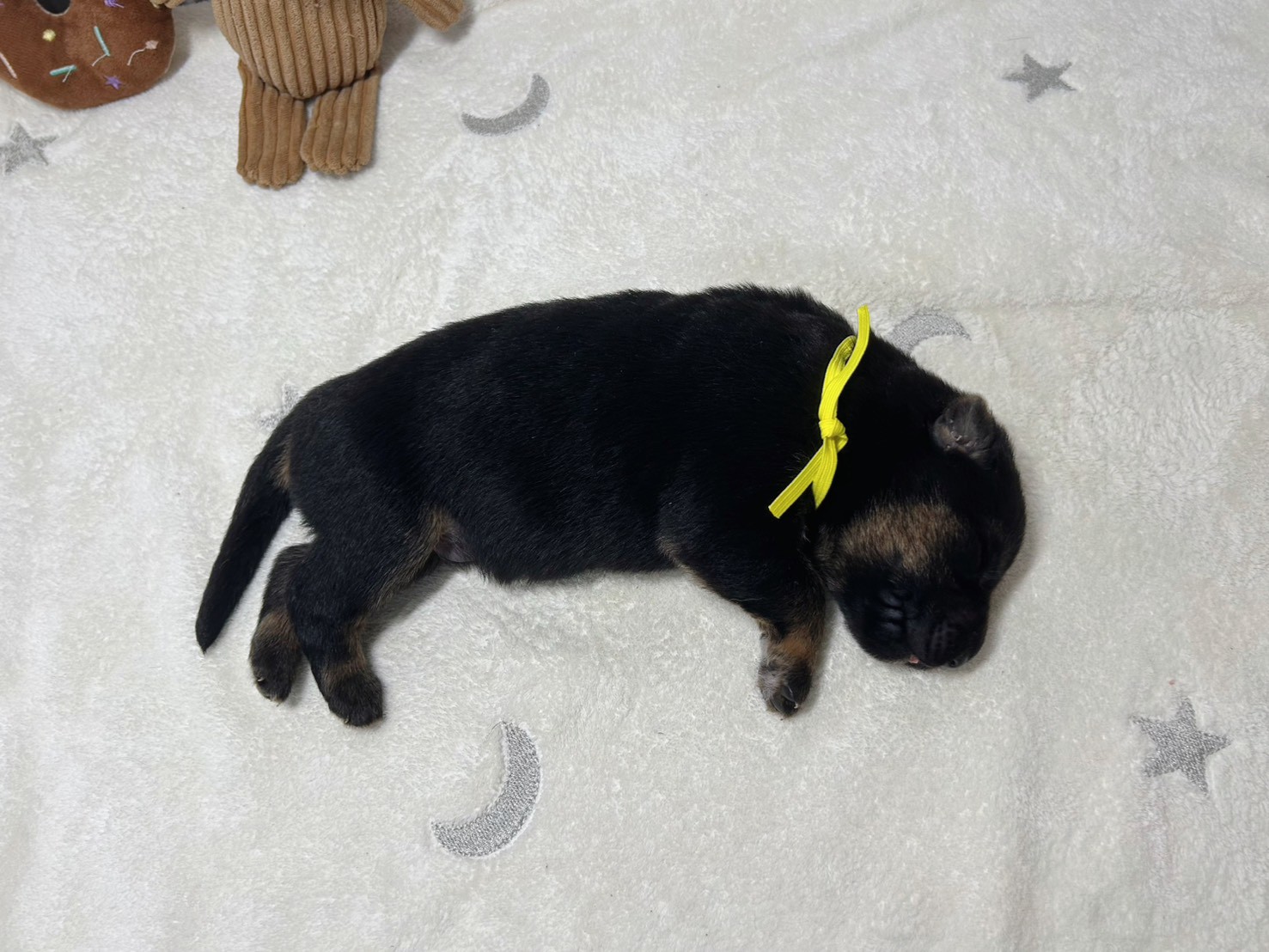 赤ちゃん写真1-2