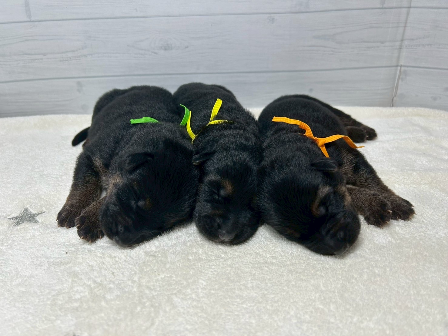 赤ちゃん写真1-3