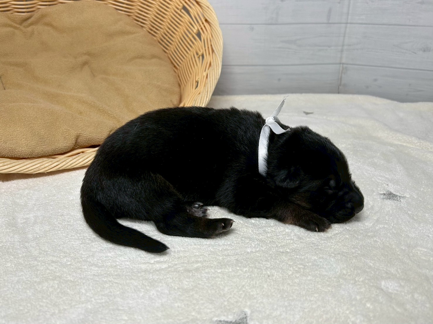 赤ちゃん写真1-2