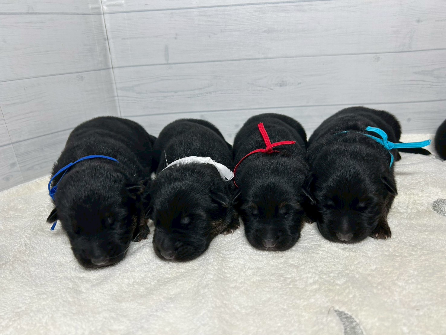 赤ちゃん写真1-3