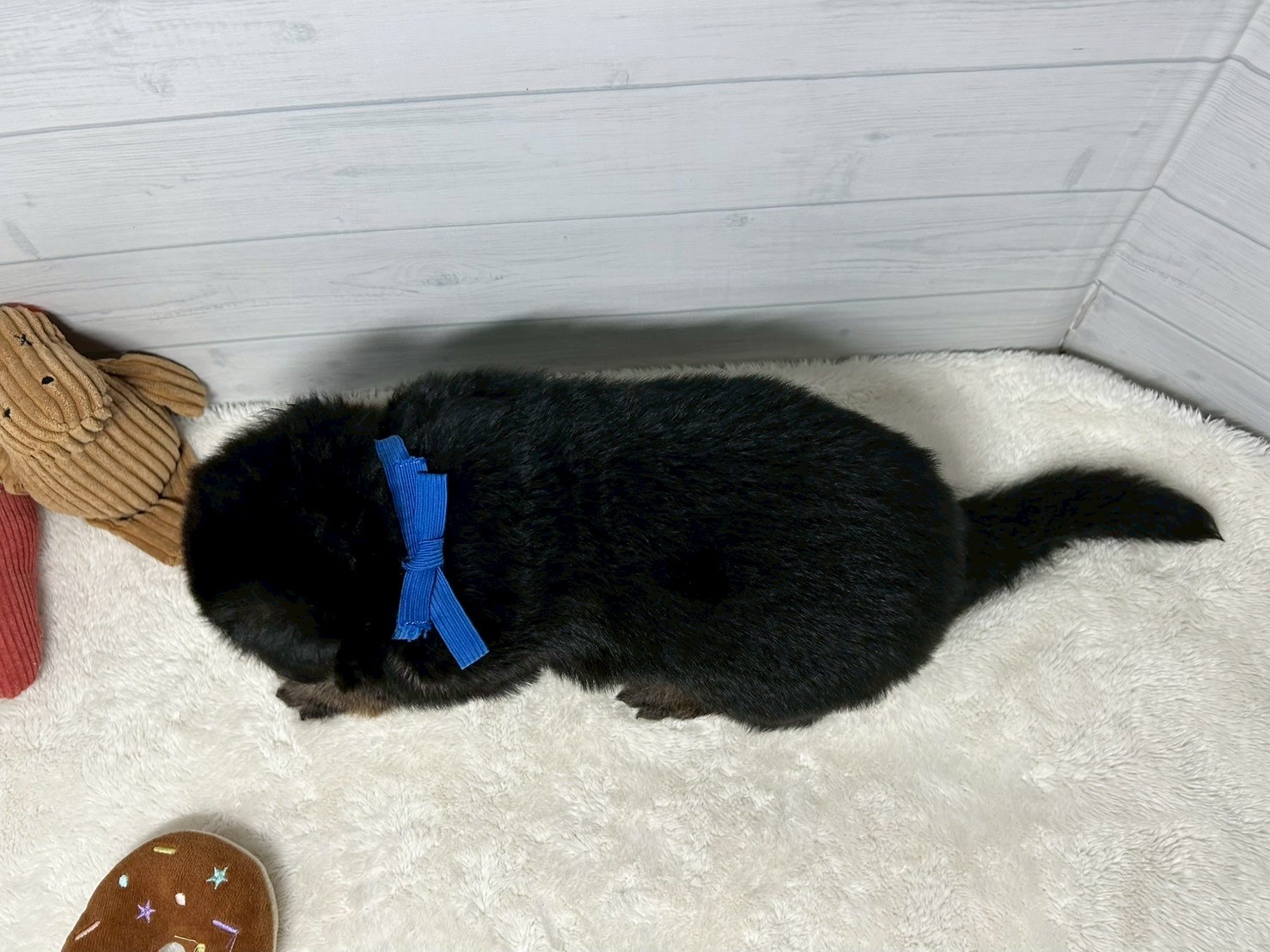 赤ちゃん写真2-3