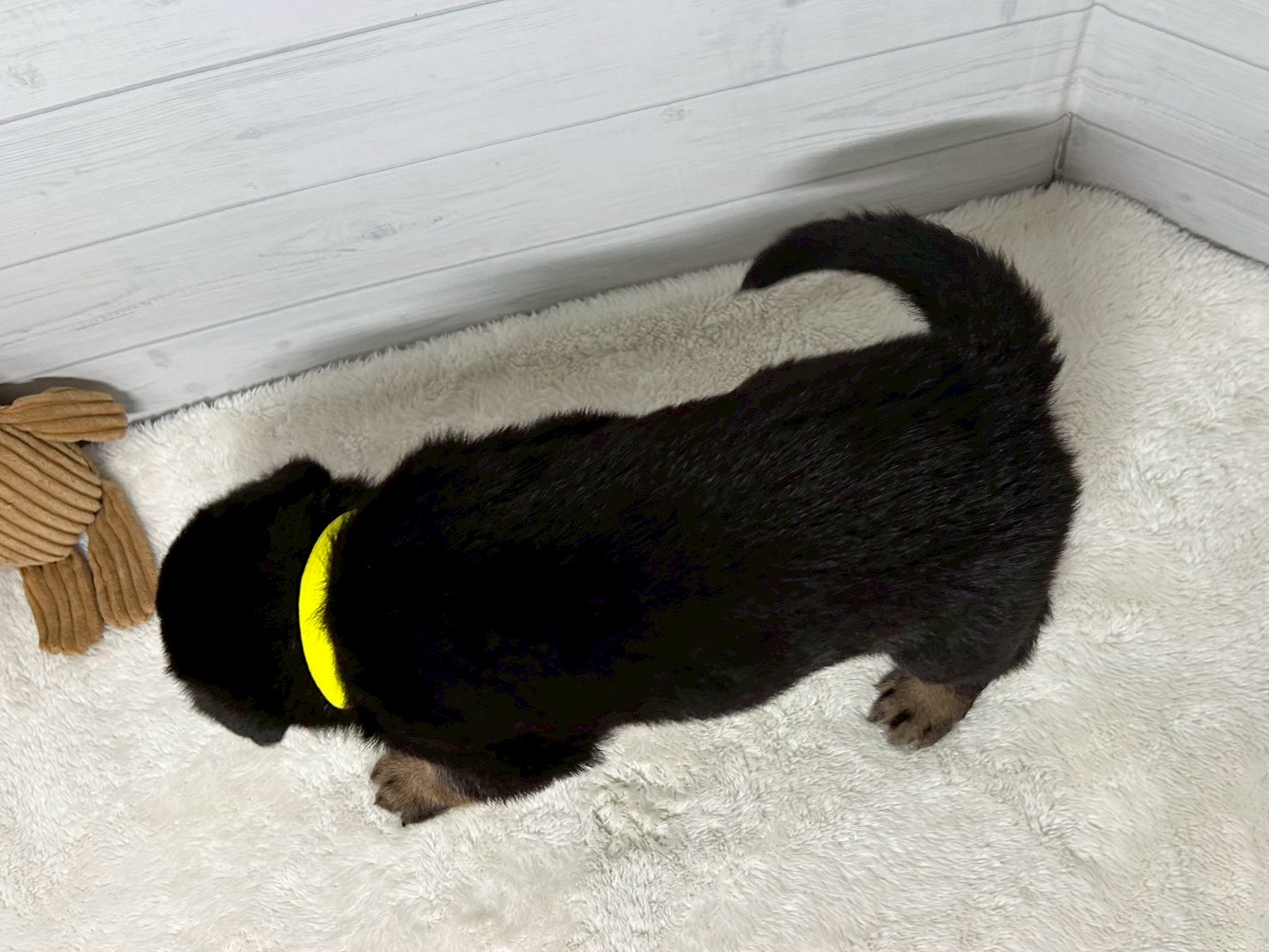 赤ちゃん写真2-3