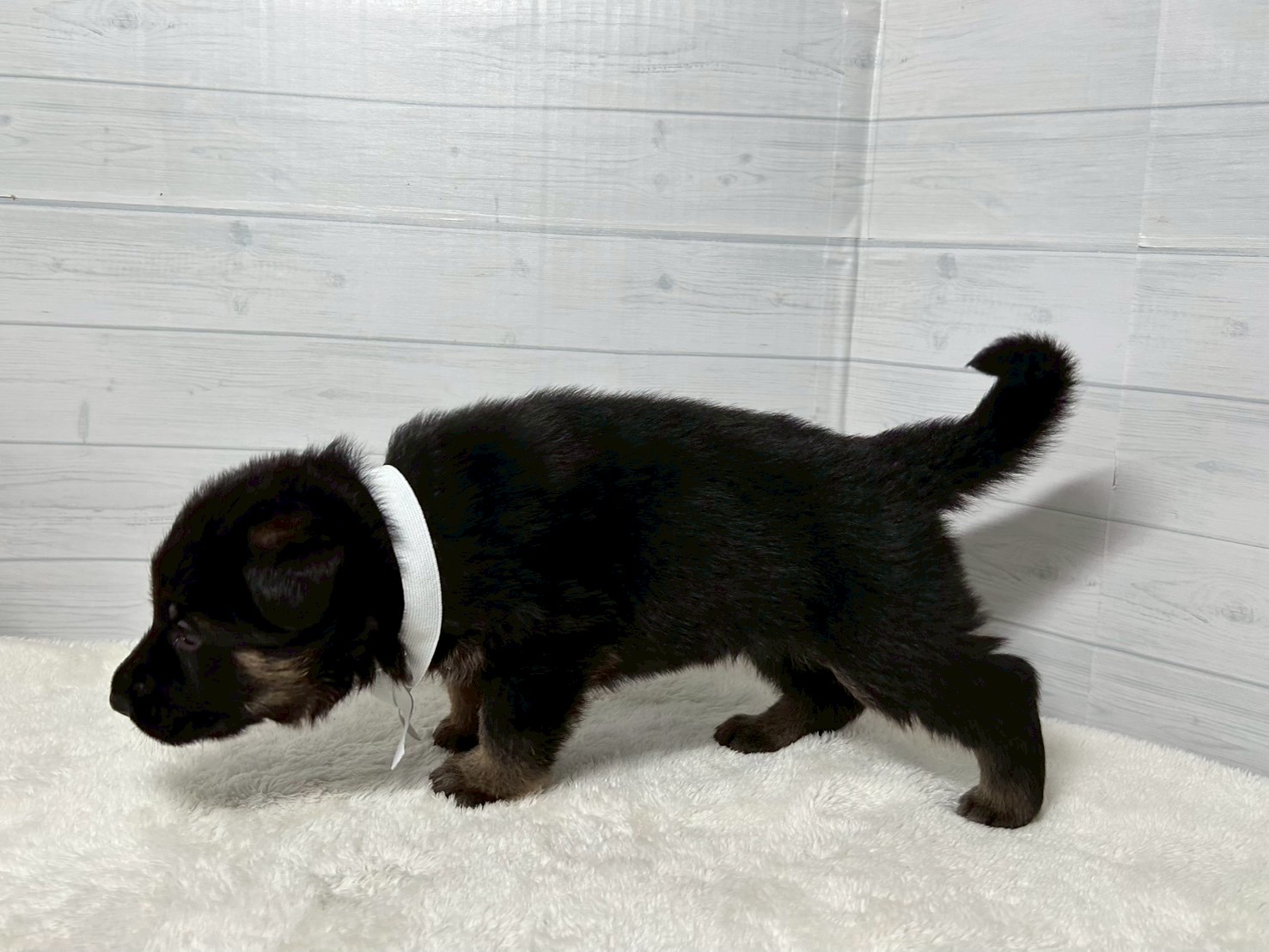 赤ちゃん写真2-2