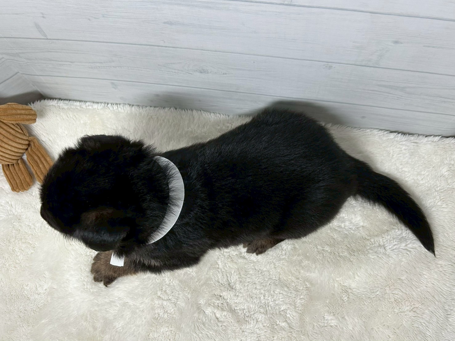 赤ちゃん写真2-3