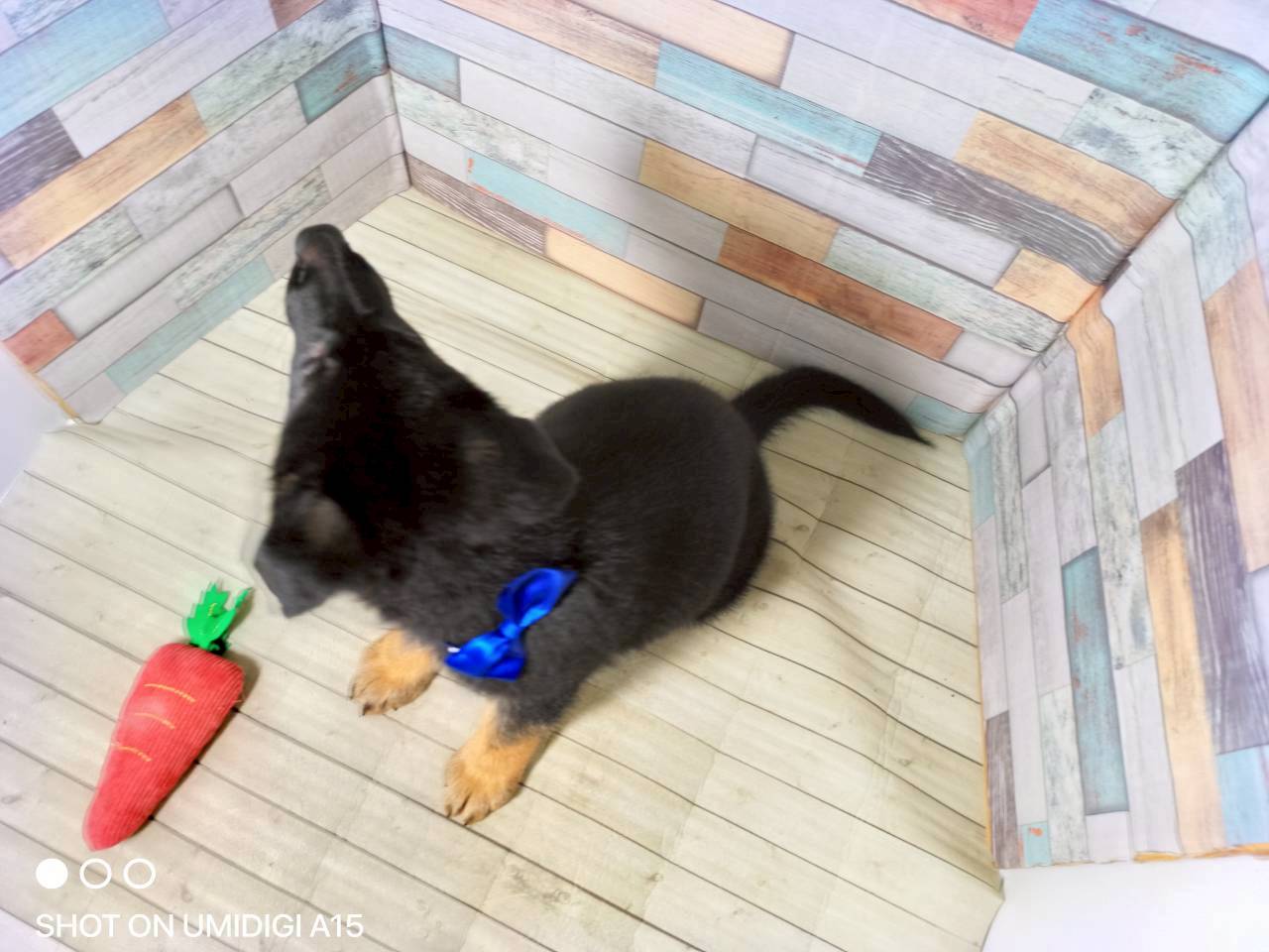 赤ちゃん写真3-3