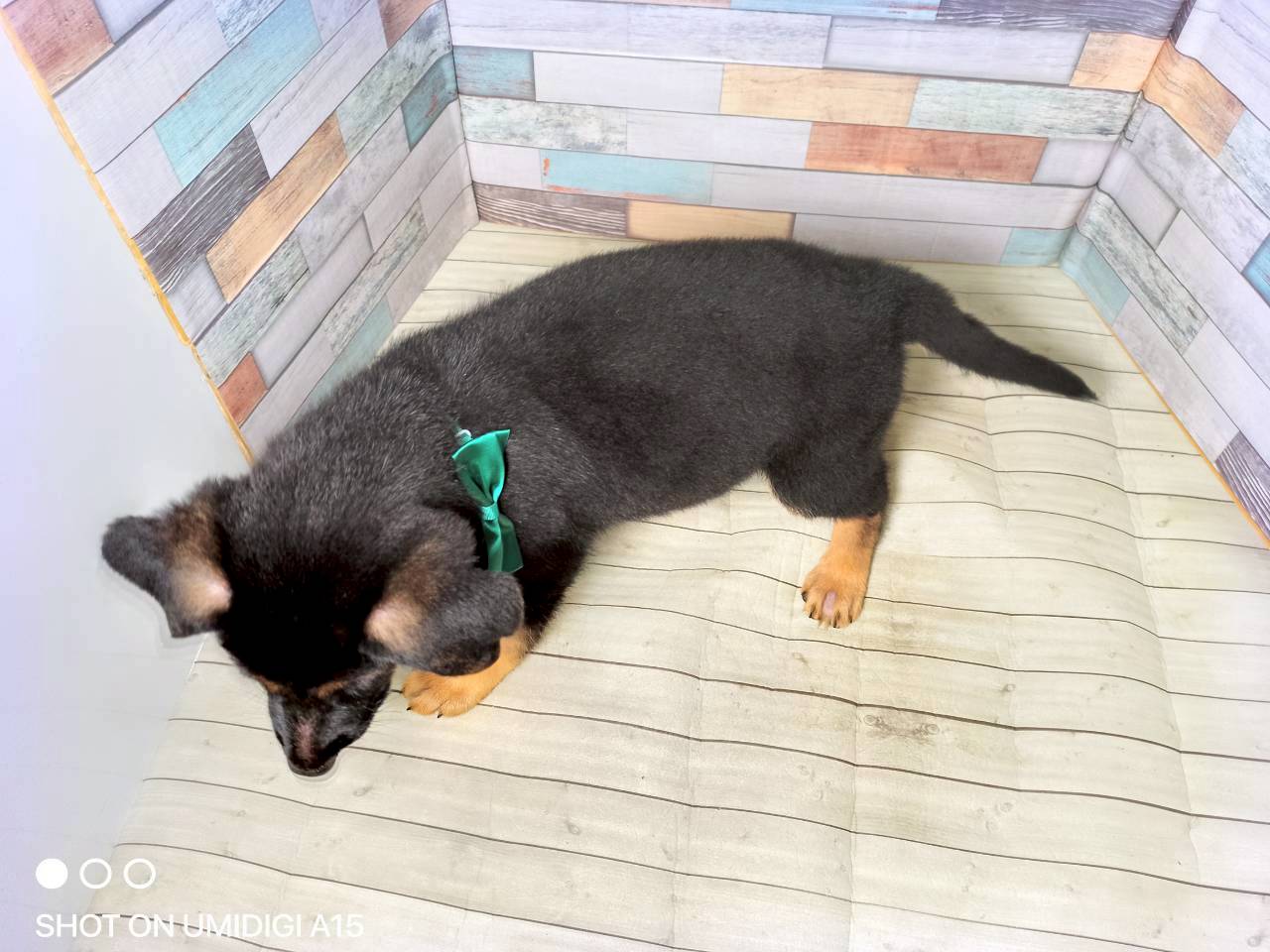 赤ちゃん写真3-3