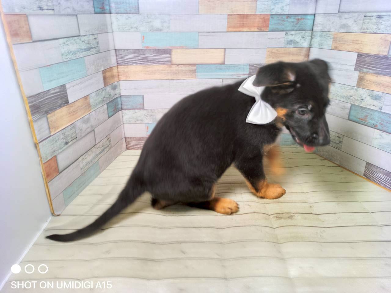 赤ちゃん写真3-2