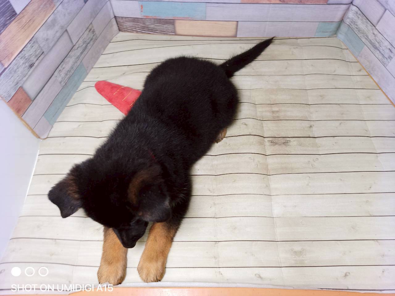 赤ちゃん写真3-3