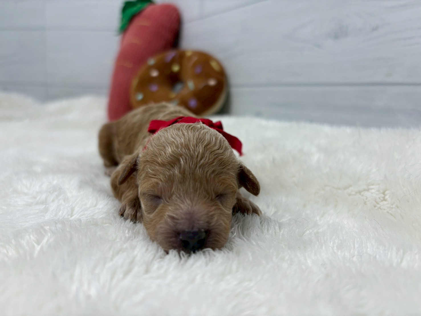 赤ちゃん写真1-1