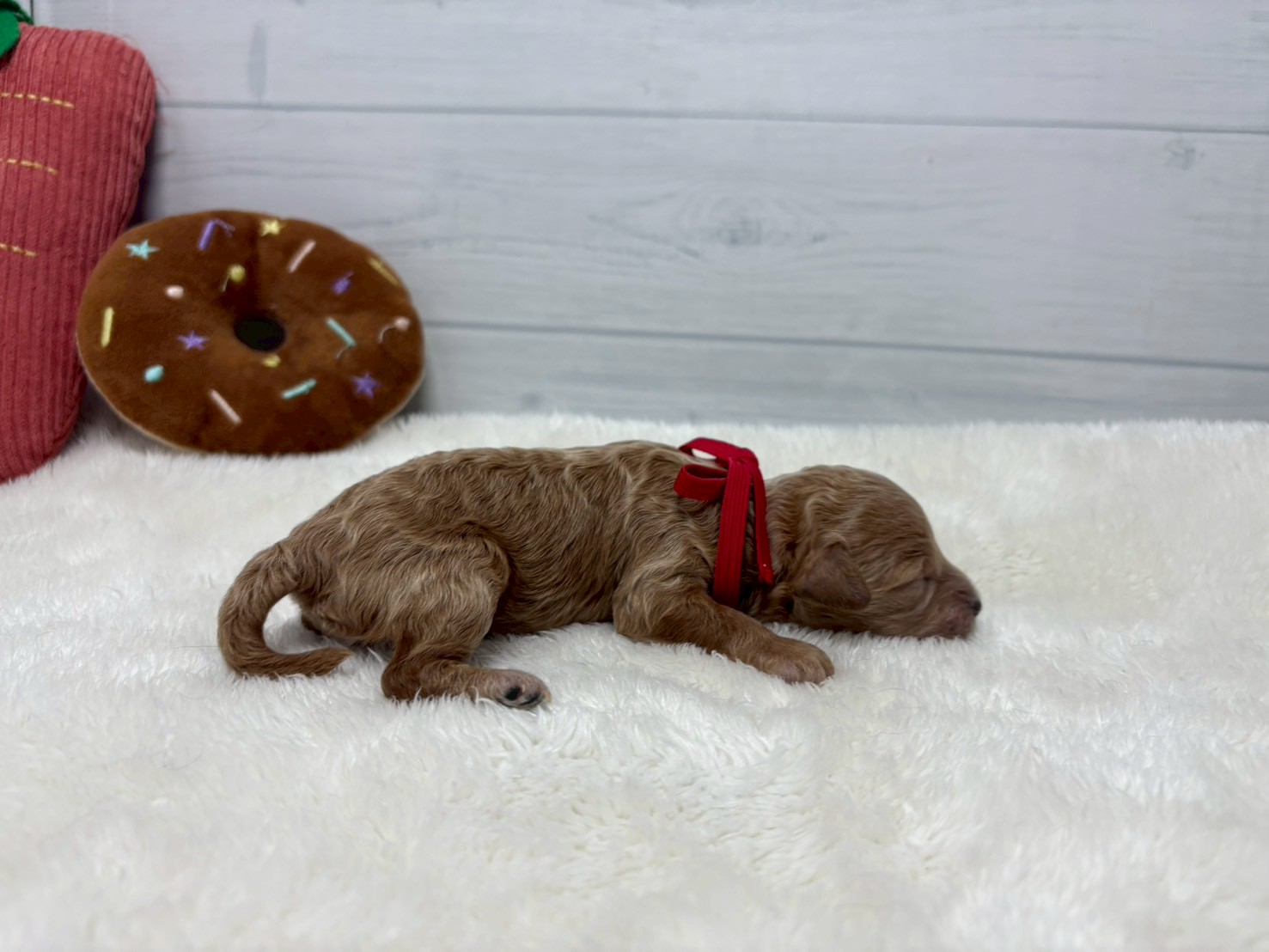 赤ちゃん写真1-2