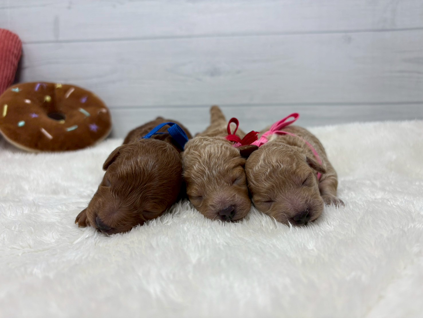 赤ちゃん写真1-3