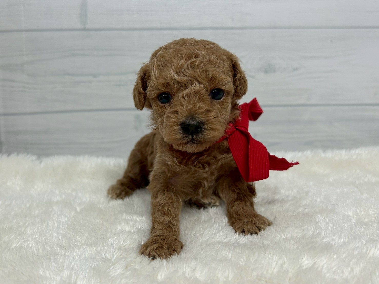 赤ちゃん写真2-1