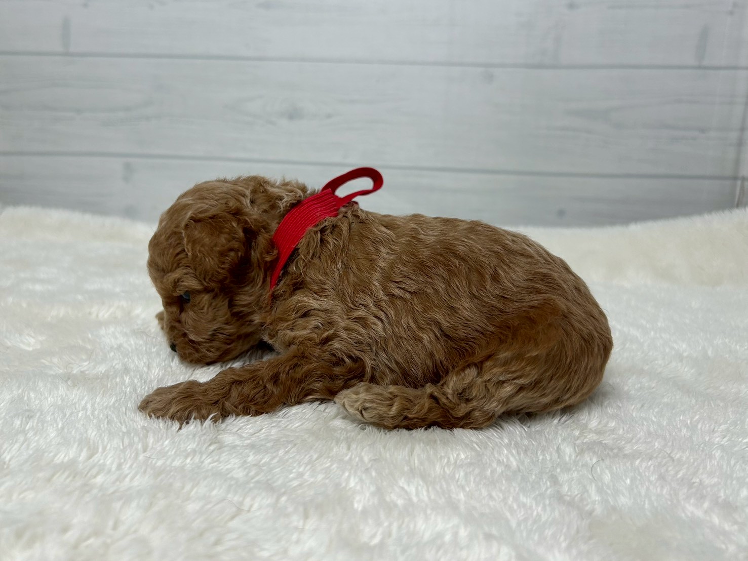 赤ちゃん写真2-2