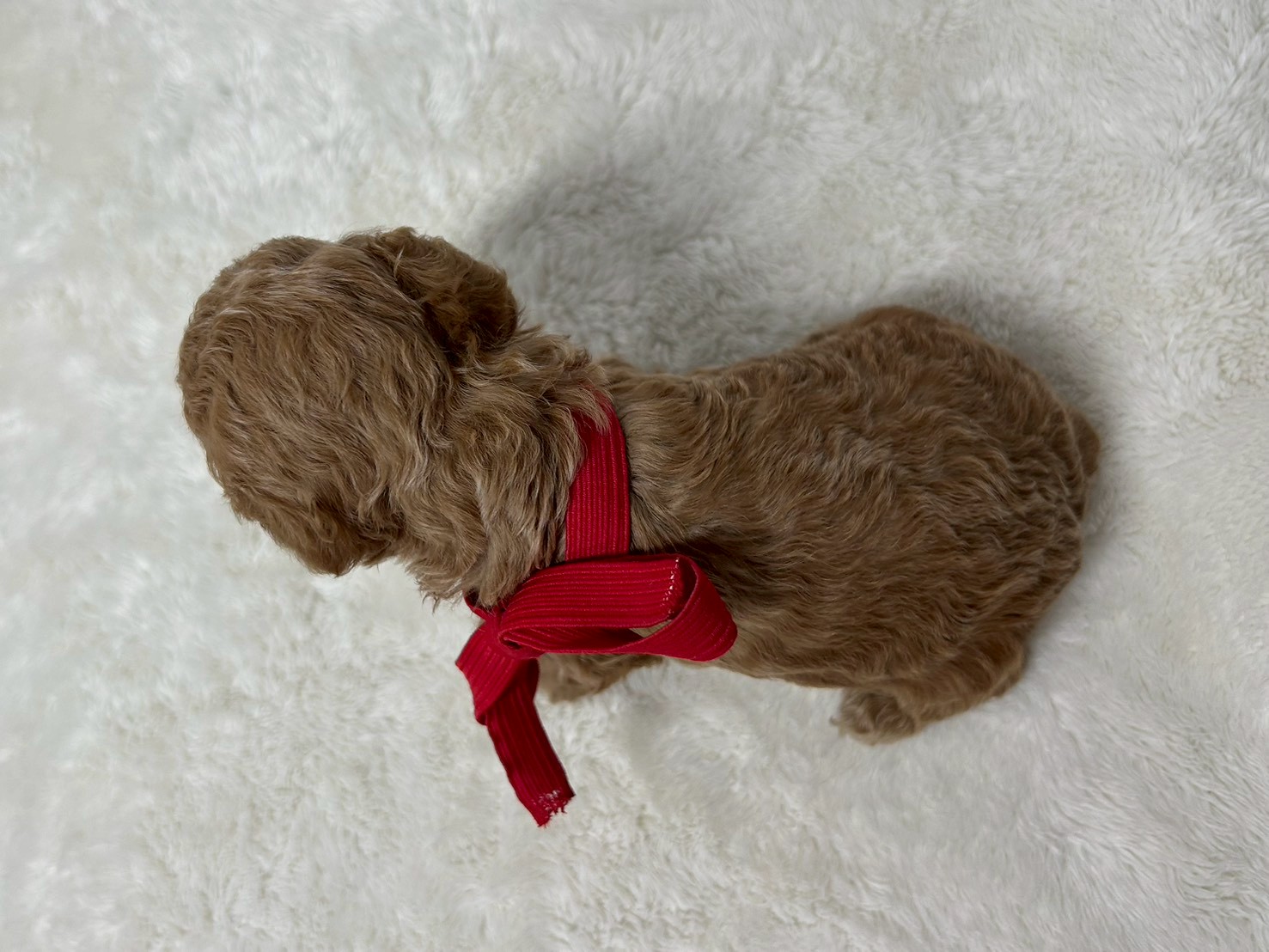 赤ちゃん写真2-3