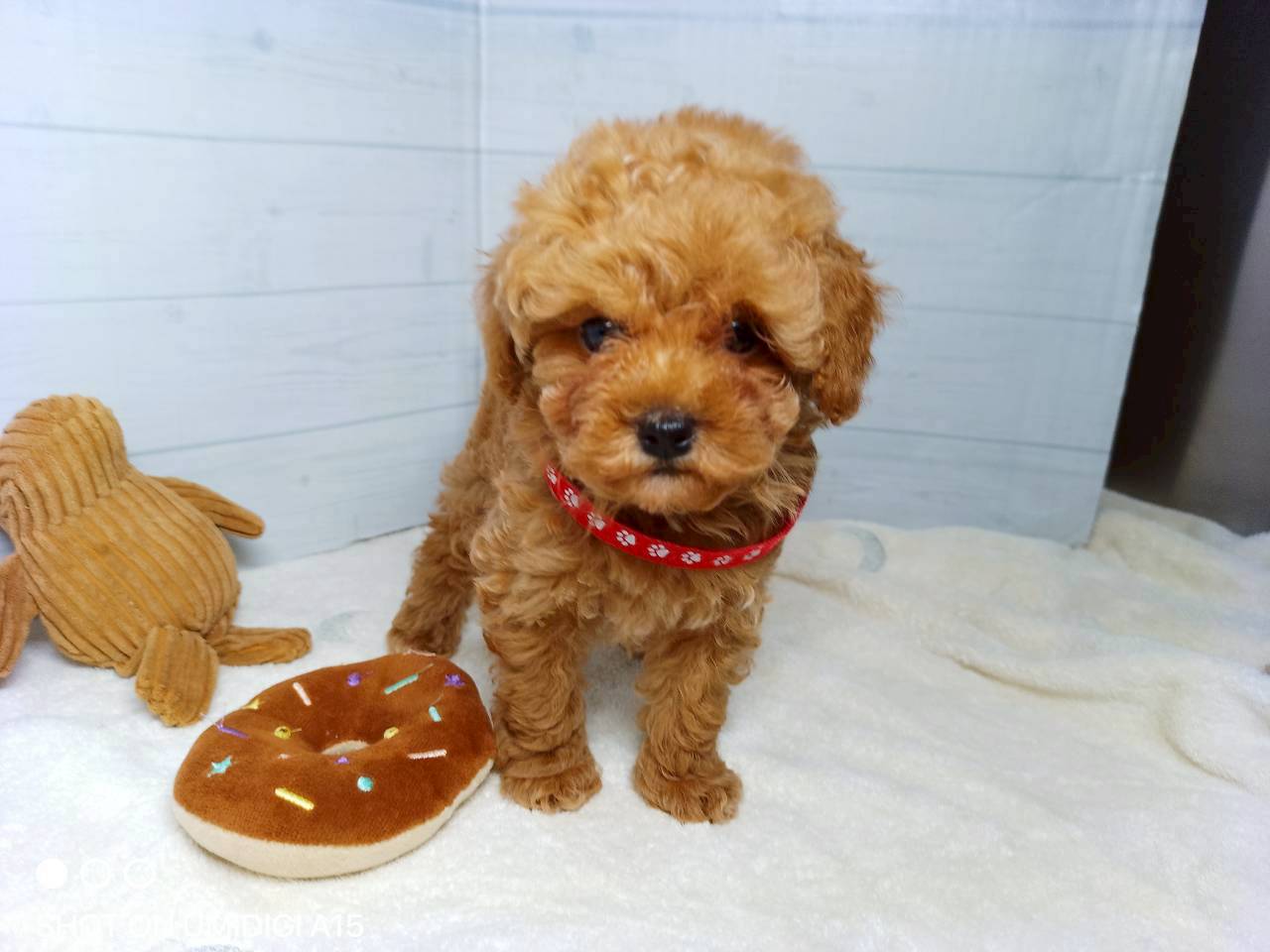 赤ちゃん写真3-1