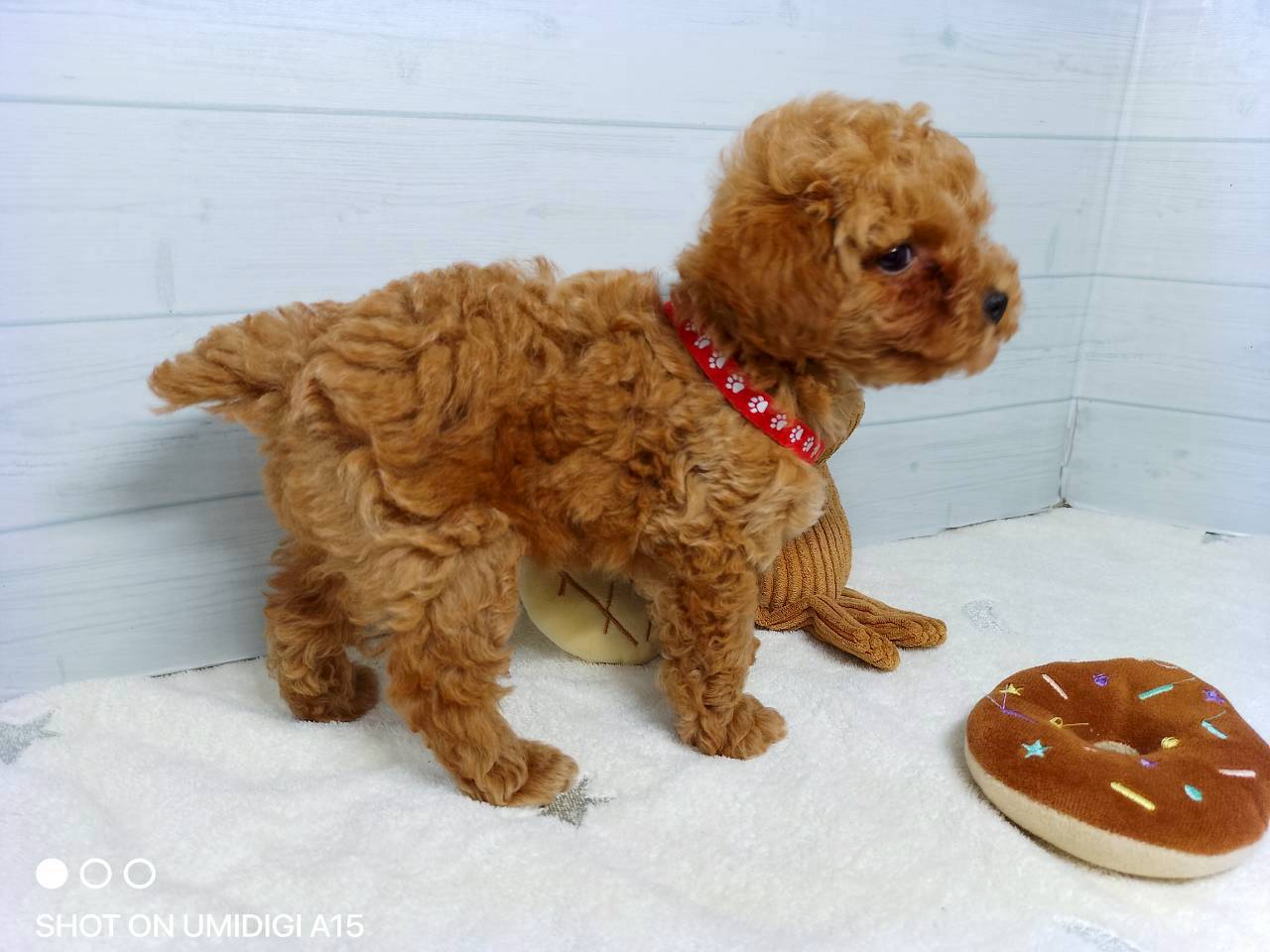 赤ちゃん写真3-2