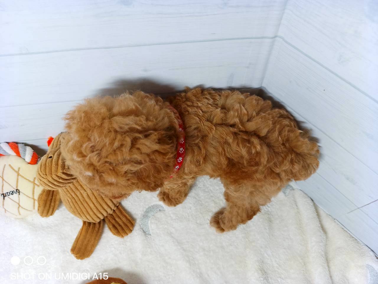 赤ちゃん写真3-3