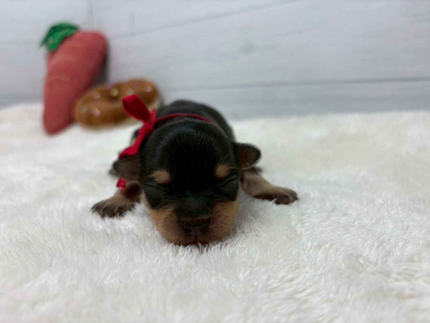 赤ちゃん写真1-1