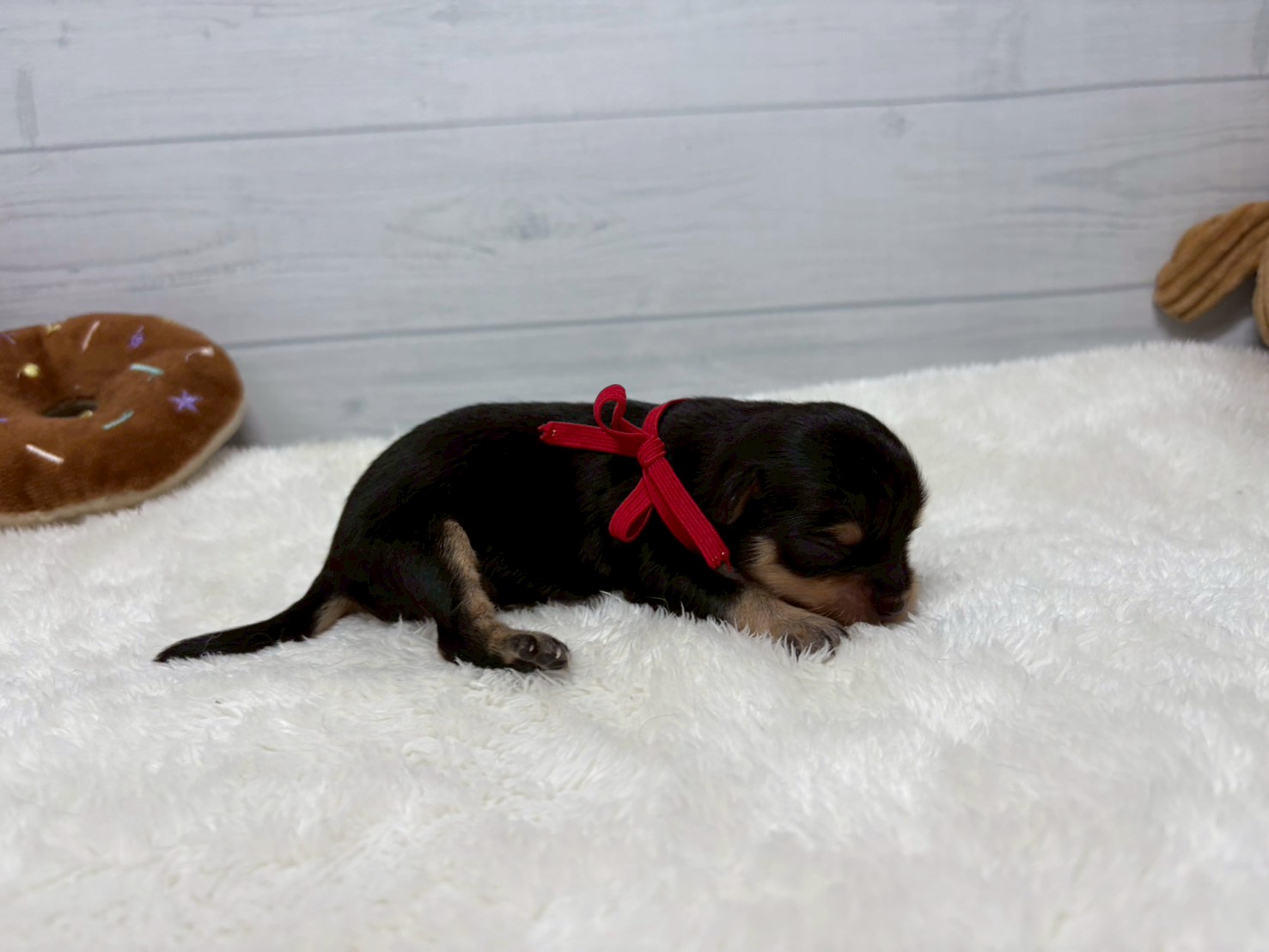 赤ちゃん写真1-2